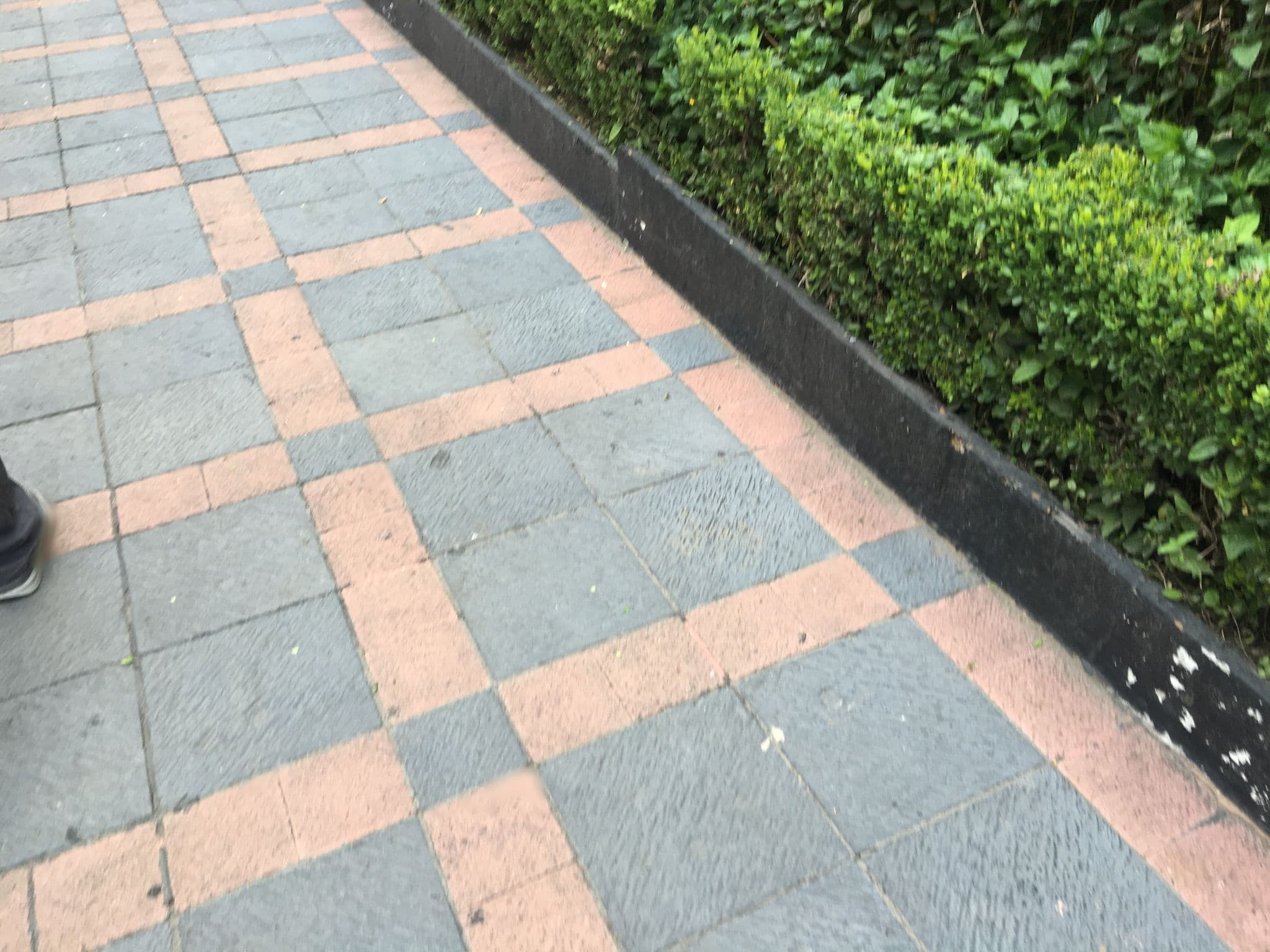 Street view near Hotel Plaza Express, Guadalajara — © berrerao (CC BY-SA · Mapillary)
