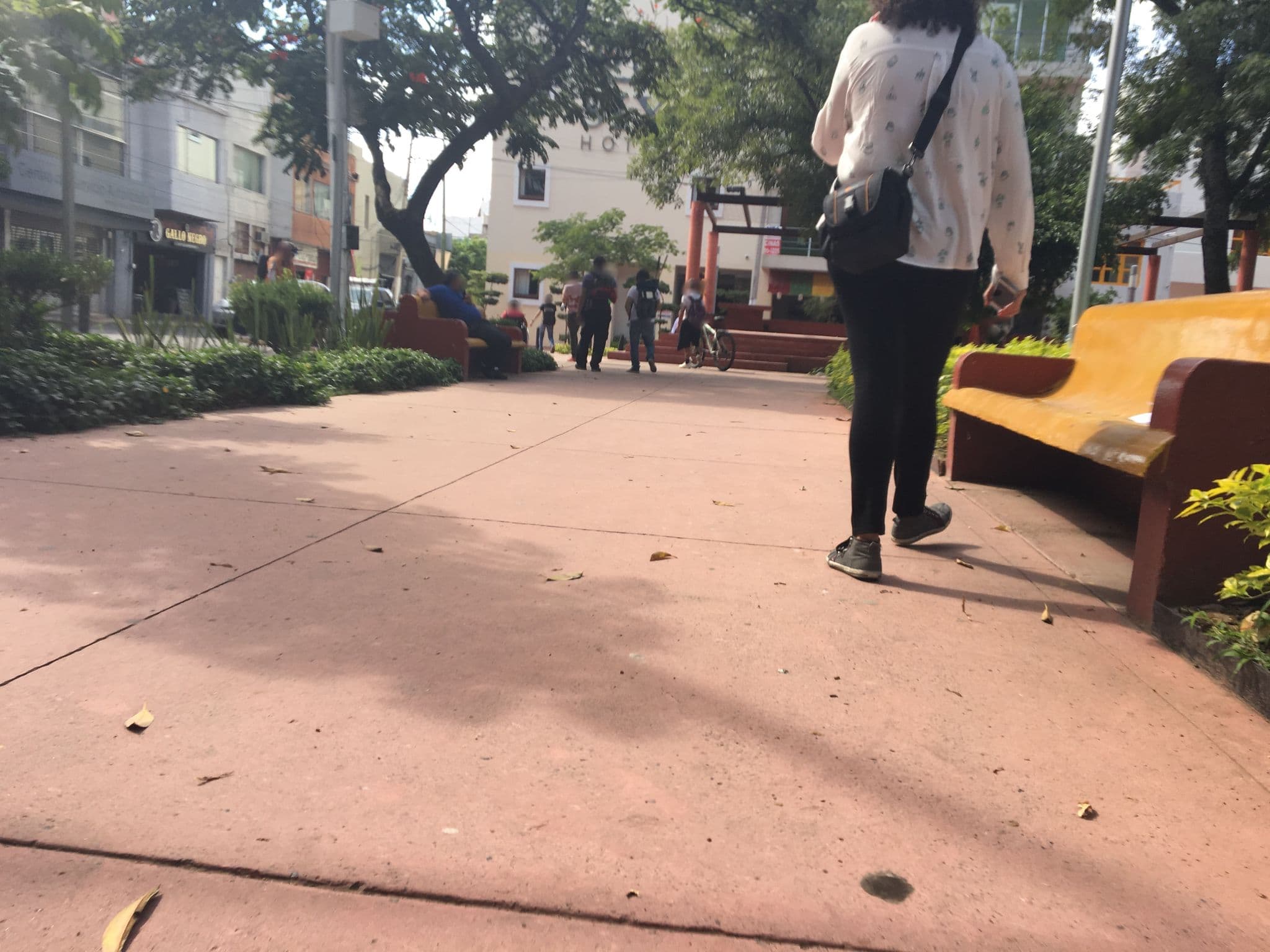 Street view near Hostal Expiatorio, Guadalajara — © mapeaton (CC BY-SA · Mapillary)