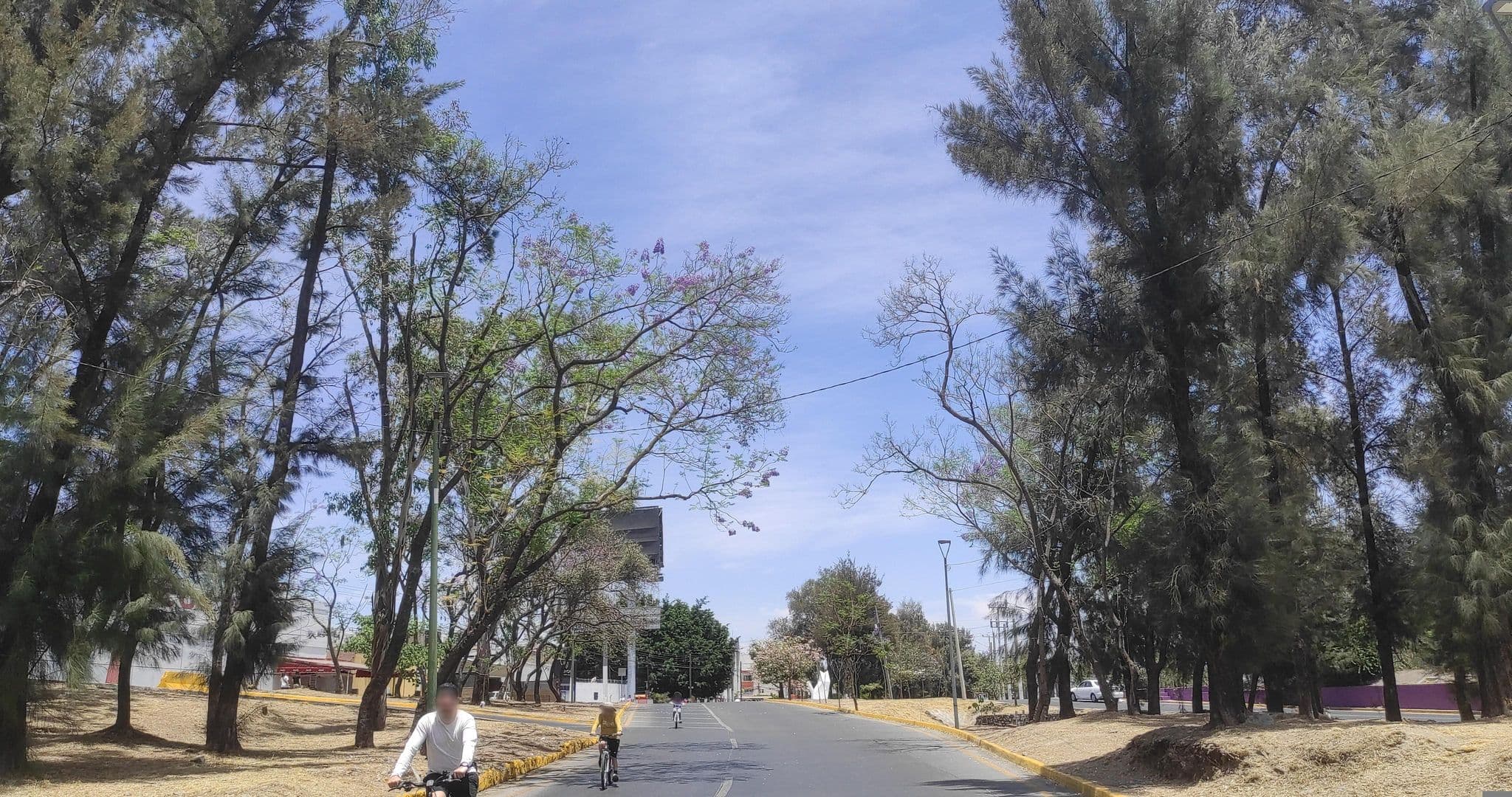 Street view near Guadalajara, Zapopan — © josuer (CC BY-SA · Mapillary)