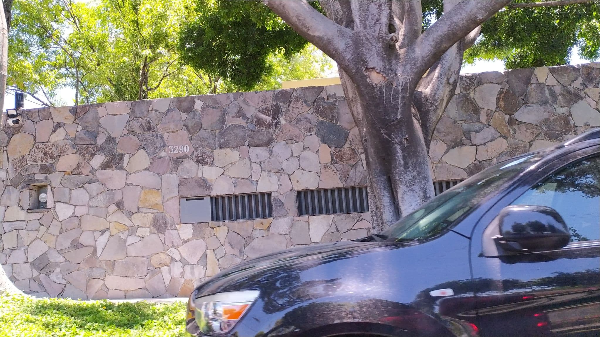 Street view near Riazor, Zapopan2 — © xe1gyp (CC BY-SA · Mapillary)