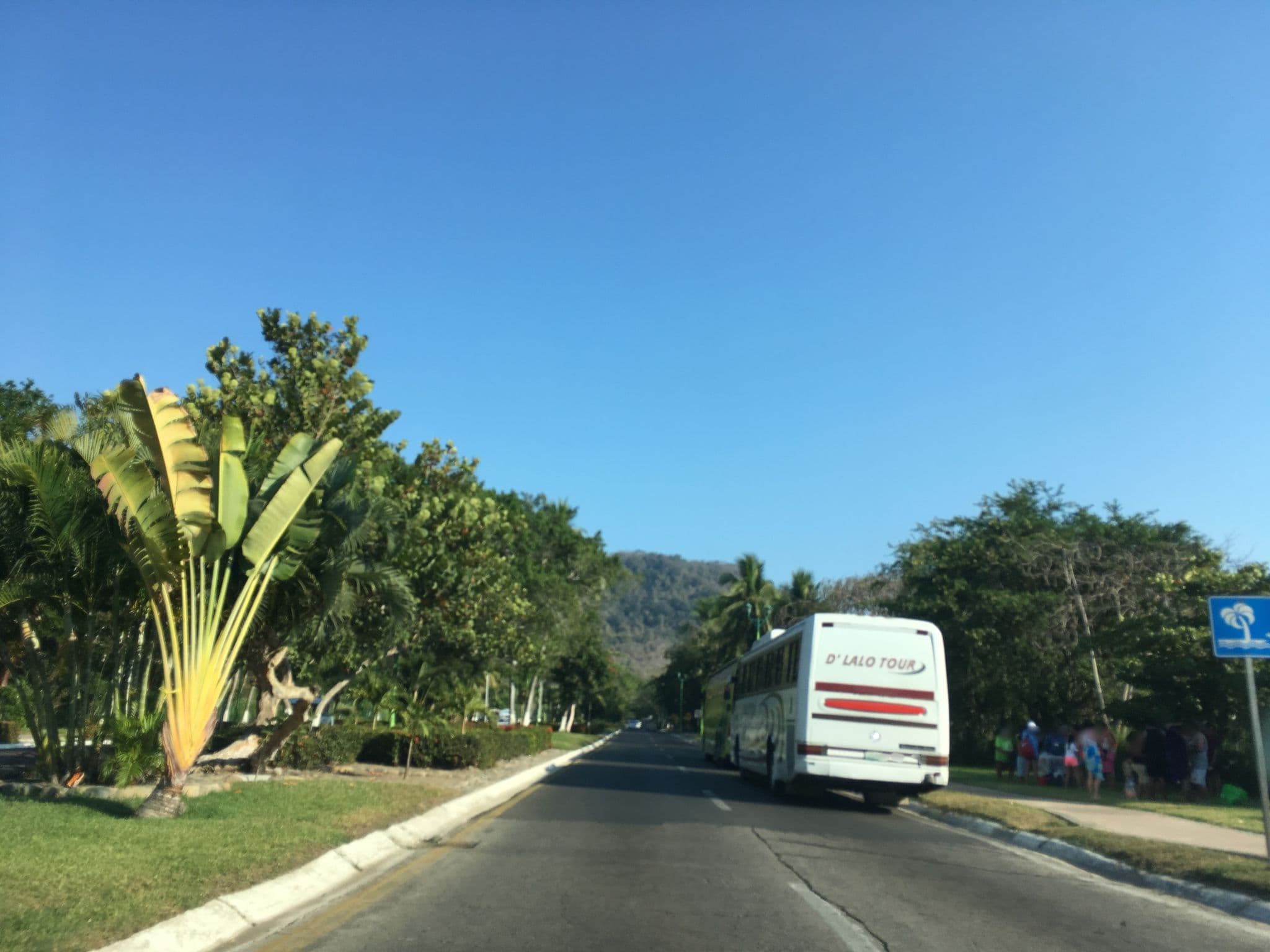 Street view near Real Ixtapa Banus vallarta, Ixtapa-Zihuatanejo — © nicovargas (CC BY-SA · Mapillary)