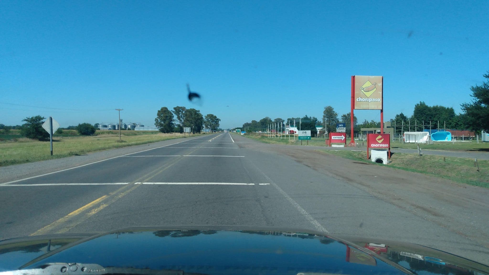 Street view near de los Robles, Chivilcoy — © andresduhour (CC BY-SA · Mapillary)
