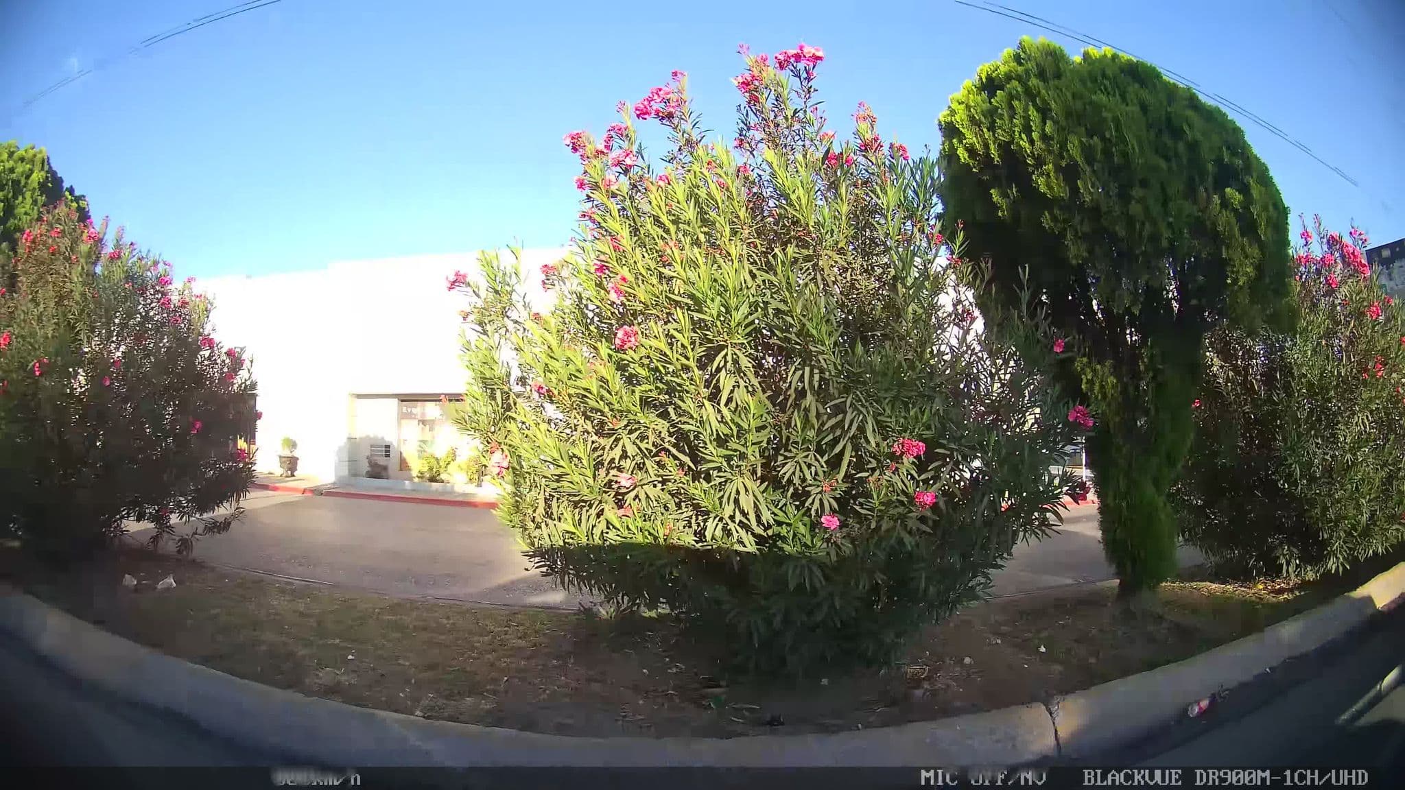 Street view near Quality INN & SUITES, Saltillo — © kaart_4 (CC BY-SA · Mapillary)