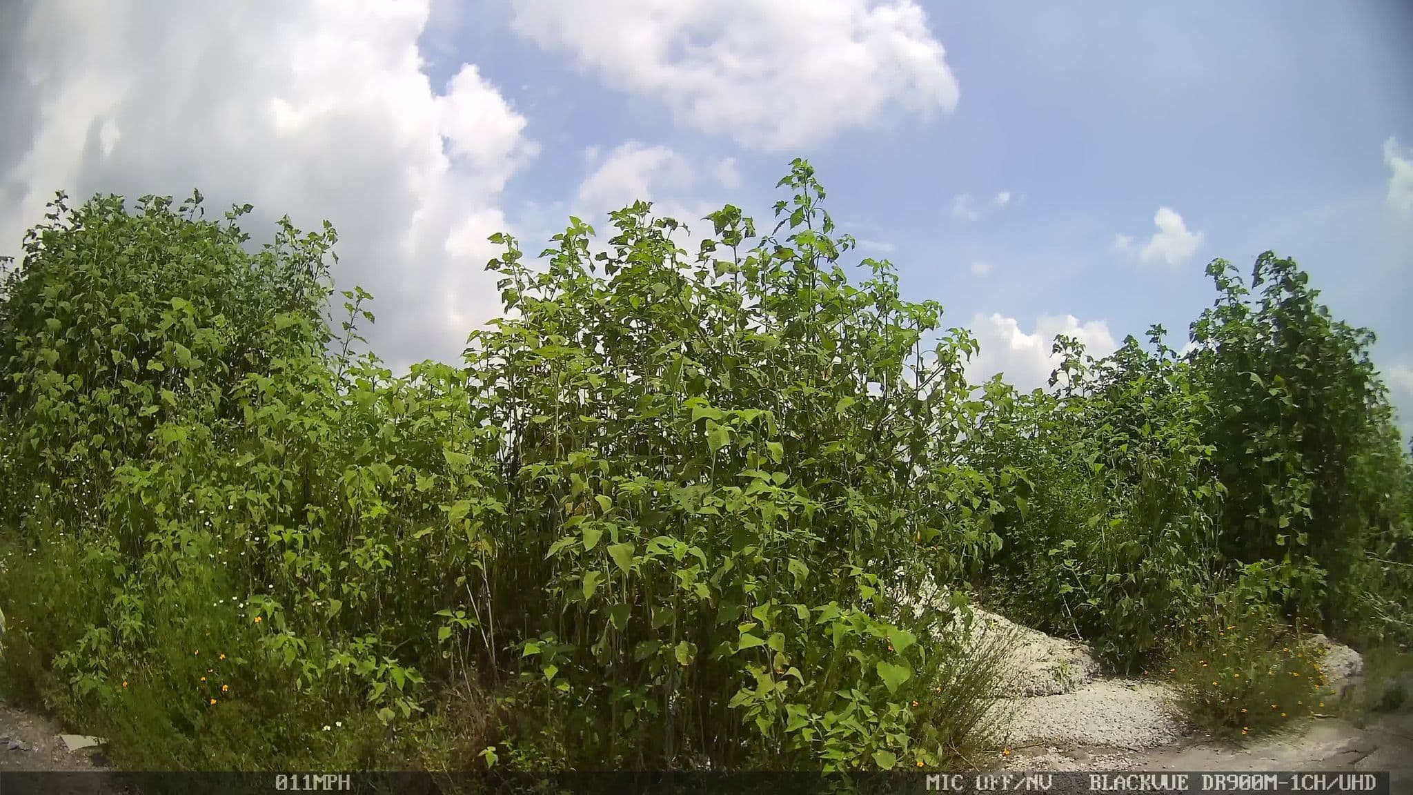 Street view near Motel Inn, Temixco — © kaart_4 (CC BY-SA · Mapillary)