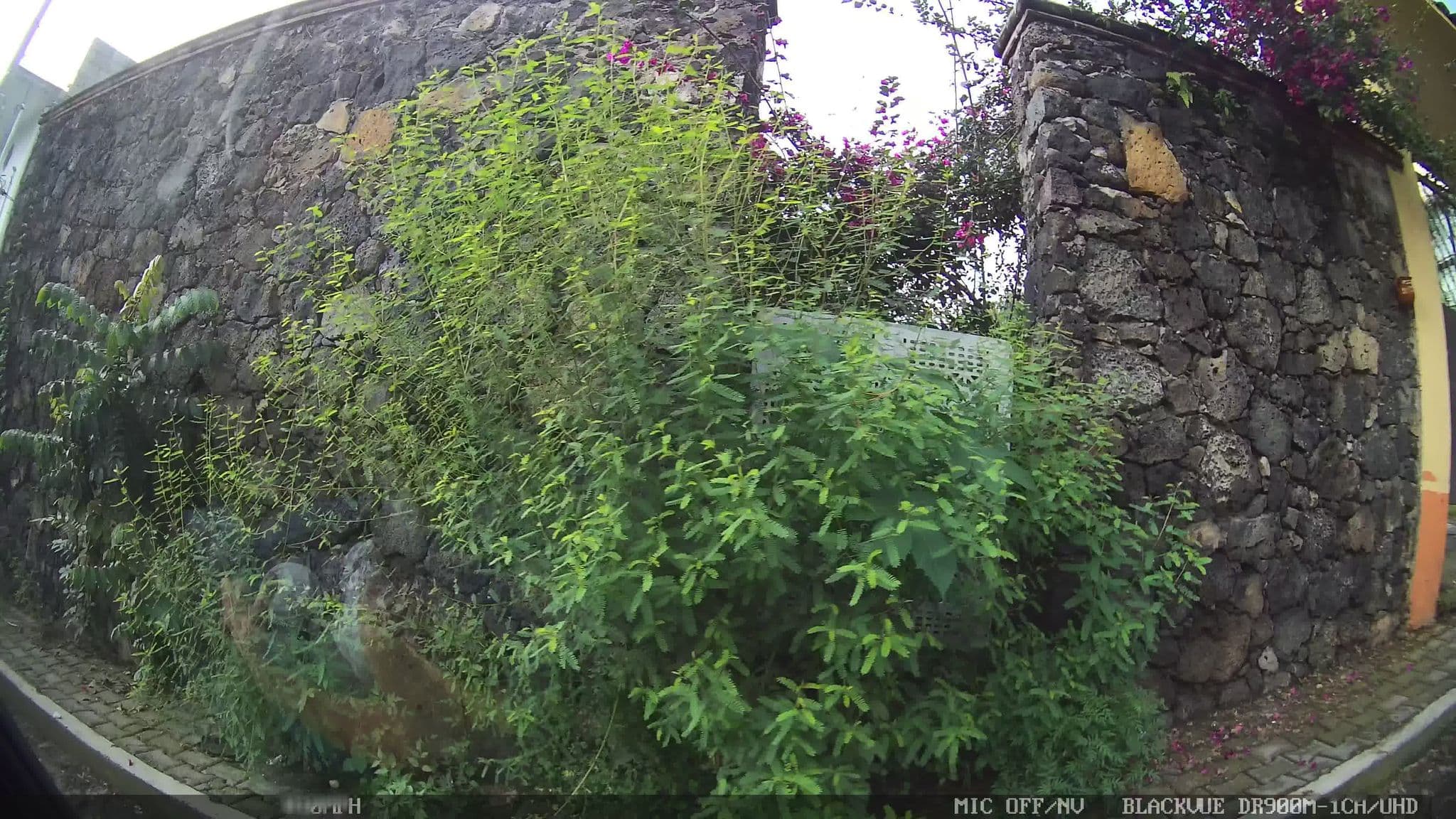 Street view near Hotel Texkalli, Tepoztlán — © kaart_4 (CC BY-SA · Mapillary)