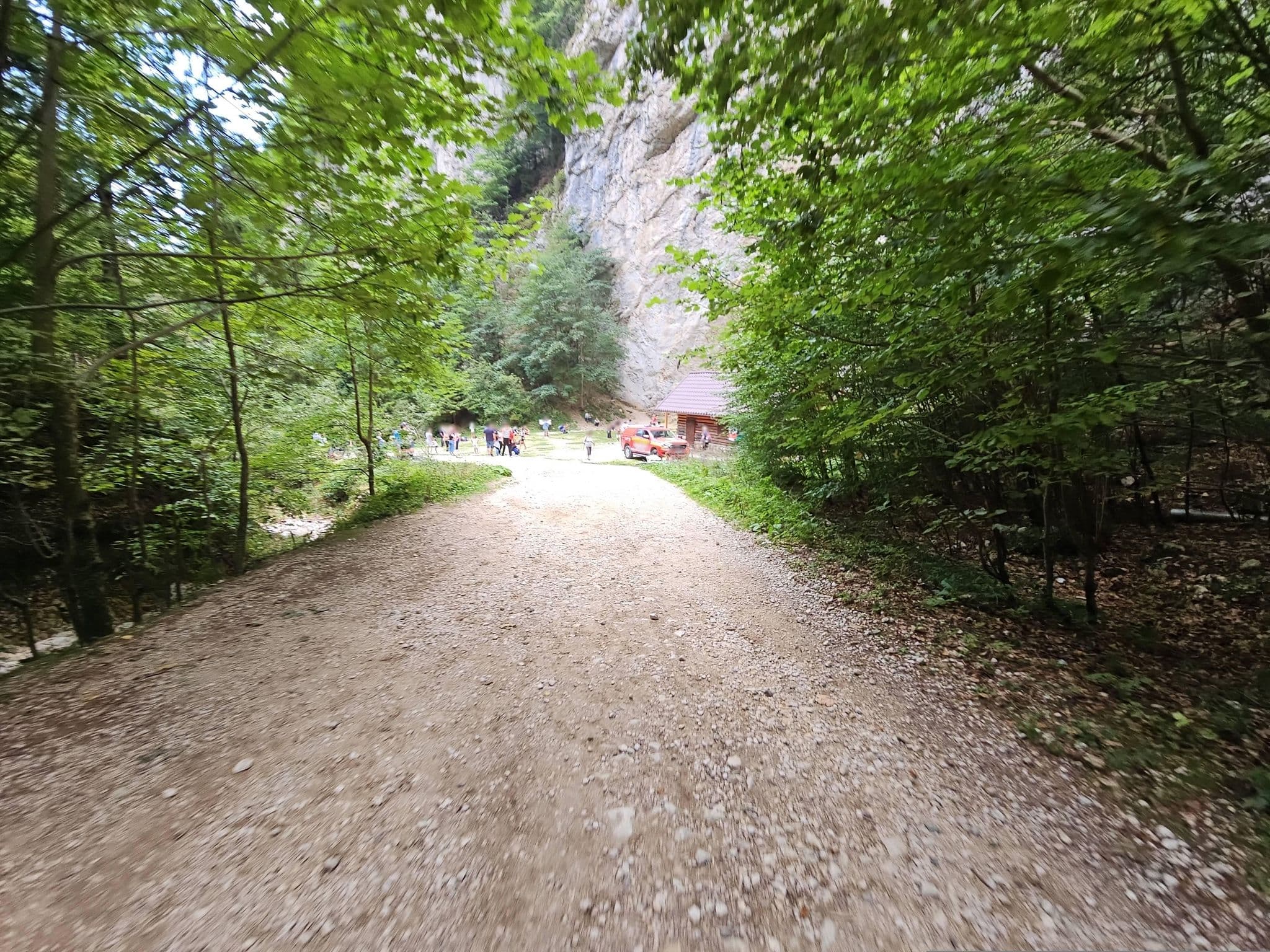 Street view near Salvamont Zărnești, Moieciu de Jos — © DmitTrix (CC BY-SA · Mapillary)