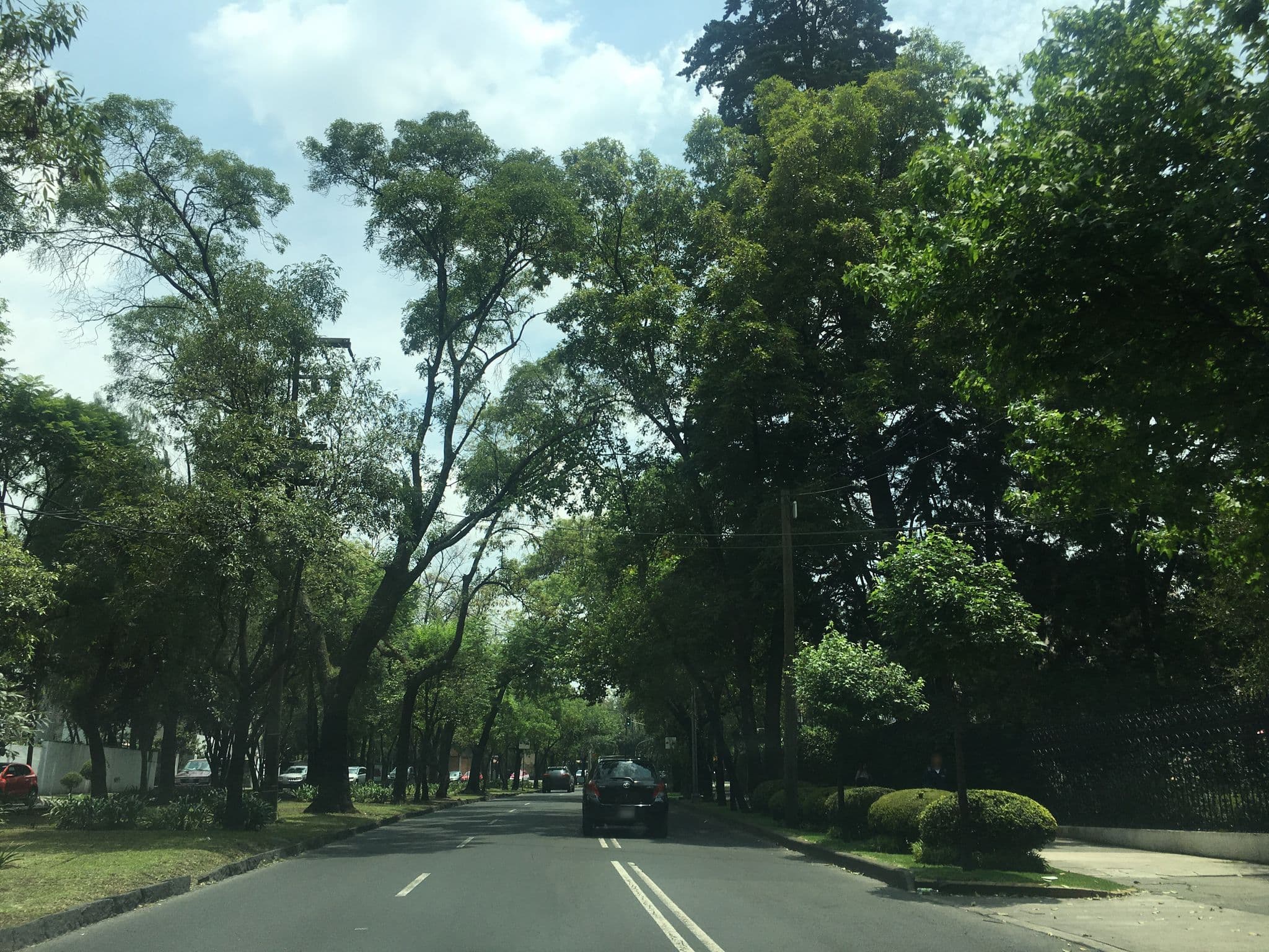 Street view near Grupo Kings Suites, Miguel Hidalgo — © ccossio (CC BY-SA · Mapillary)