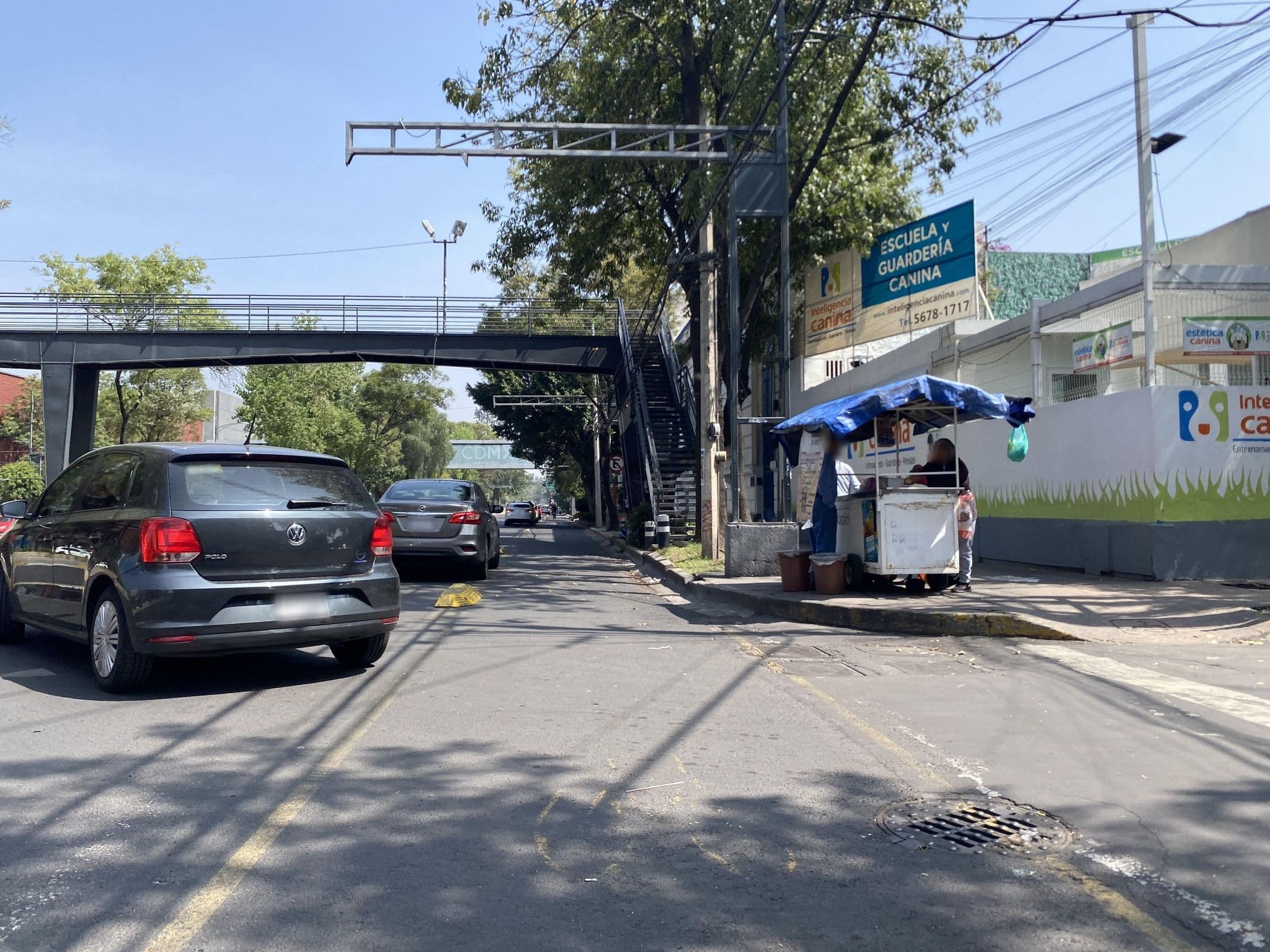Street view near la estancia 39, Colonia del Valle — © BatmanIsReal (CC BY-SA · Mapillary)