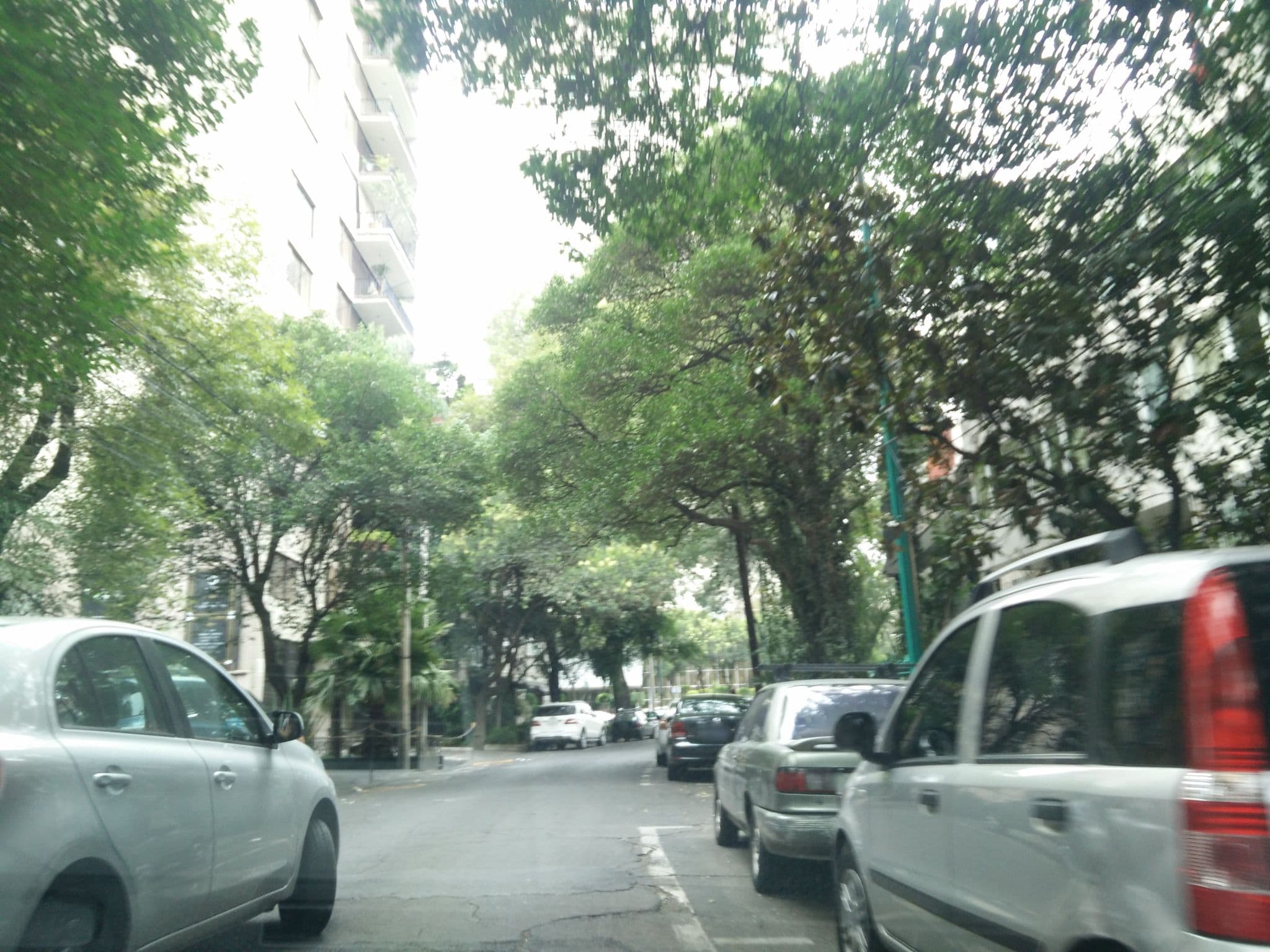 Street view near Taller de Mantenimiento, Polanco — © ccossio (CC BY-SA · Mapillary)