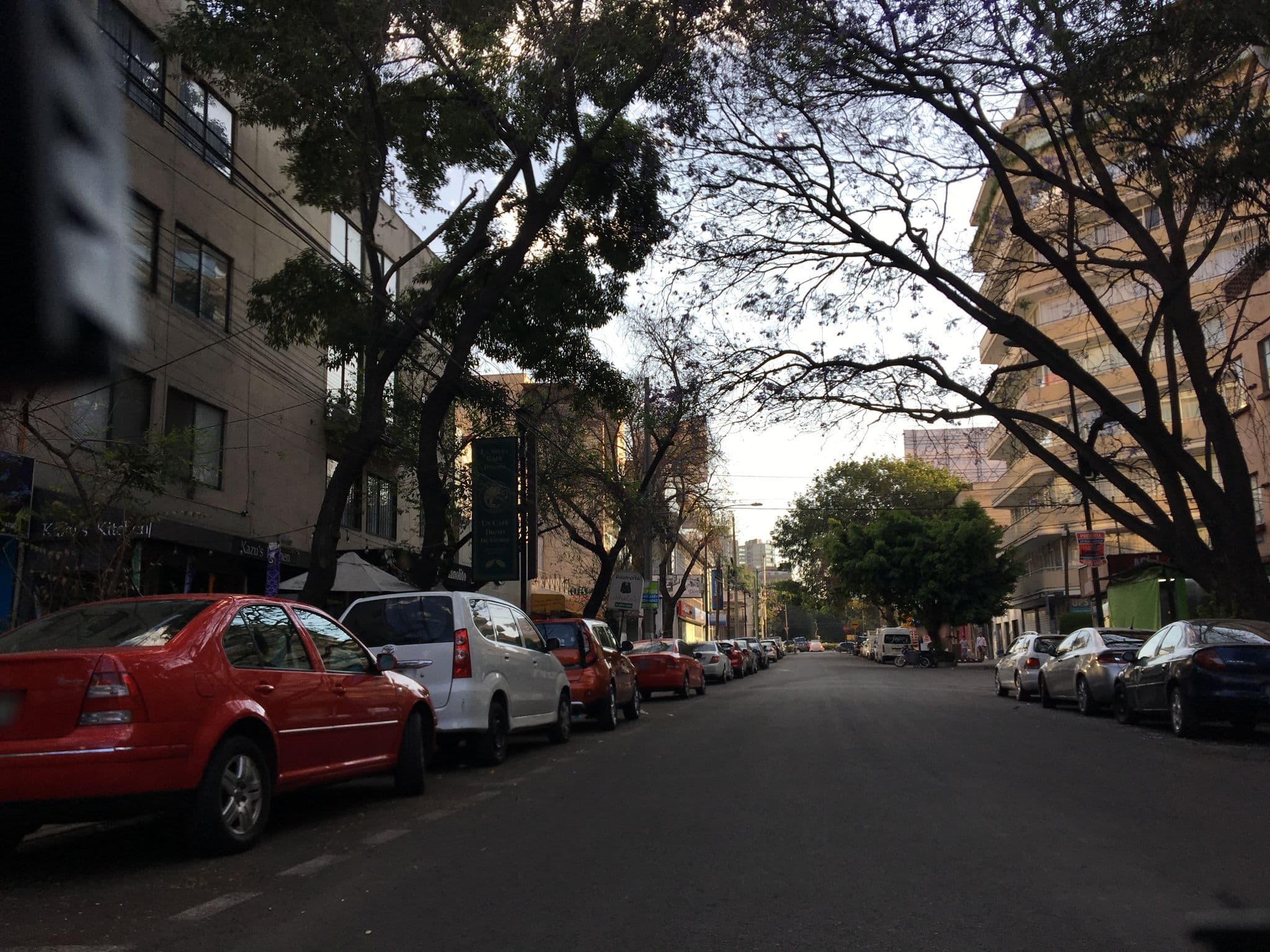 Street view near Petit Polanco Hotel, Polanco — © ccossio (CC BY-SA · Mapillary)