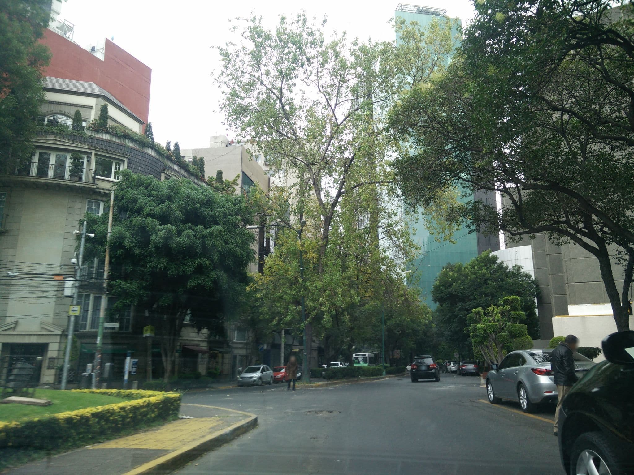 Street view near Operadora y Administ Presidente, Polanco — © ccossio (CC BY-SA · Mapillary)