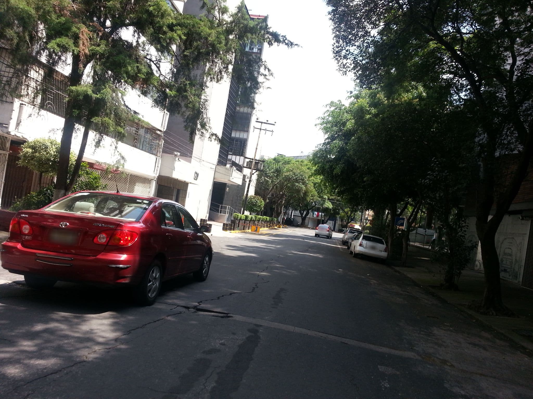 Street view near Condesa Cibel, Polanco — © mapeadora (CC BY-SA · Mapillary)