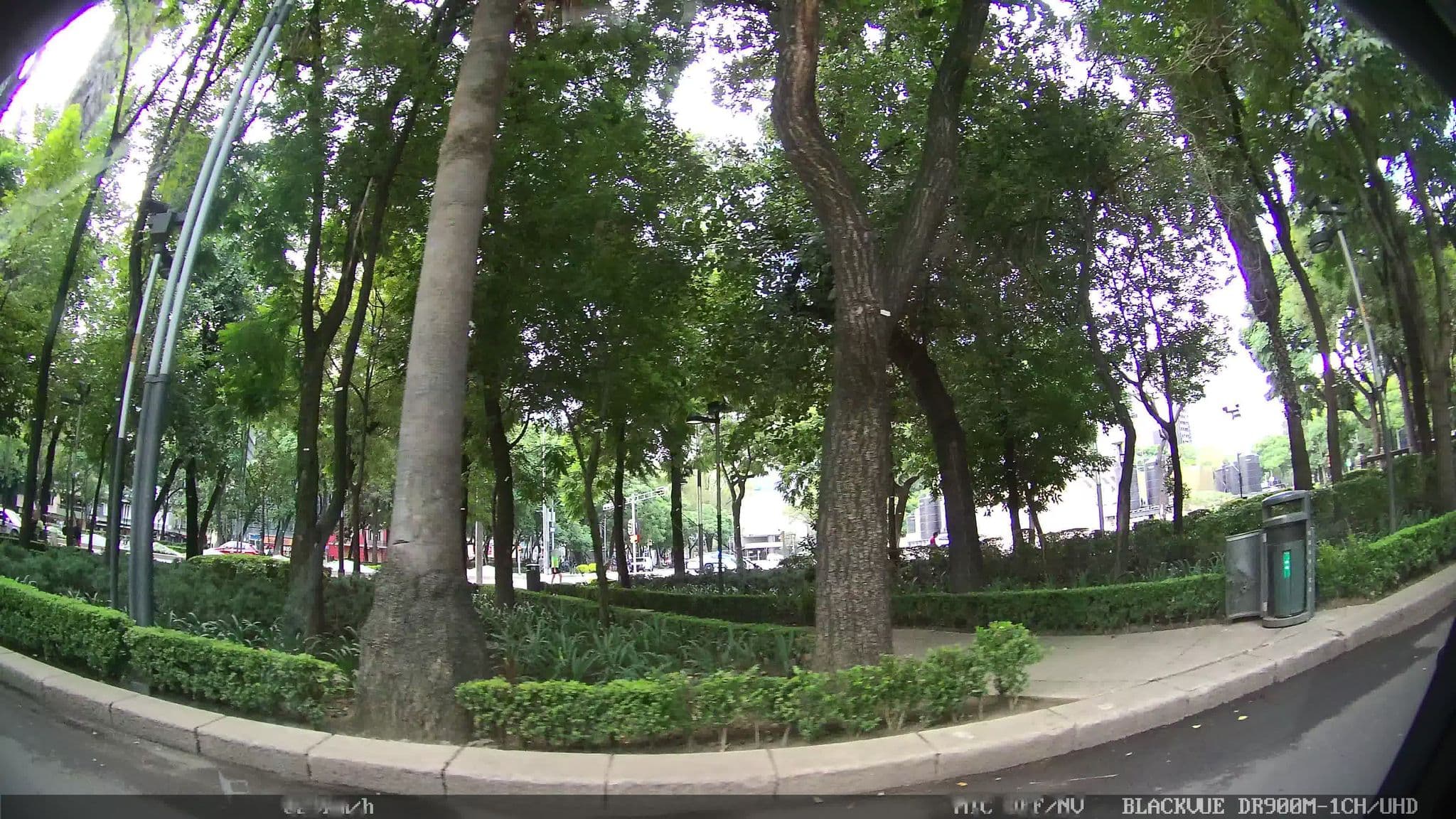 Street view near La Cobacha Del Sheraton Maria Isabel, Cuauhtémoc — © kaart_2 (CC BY-SA · Mapillary)