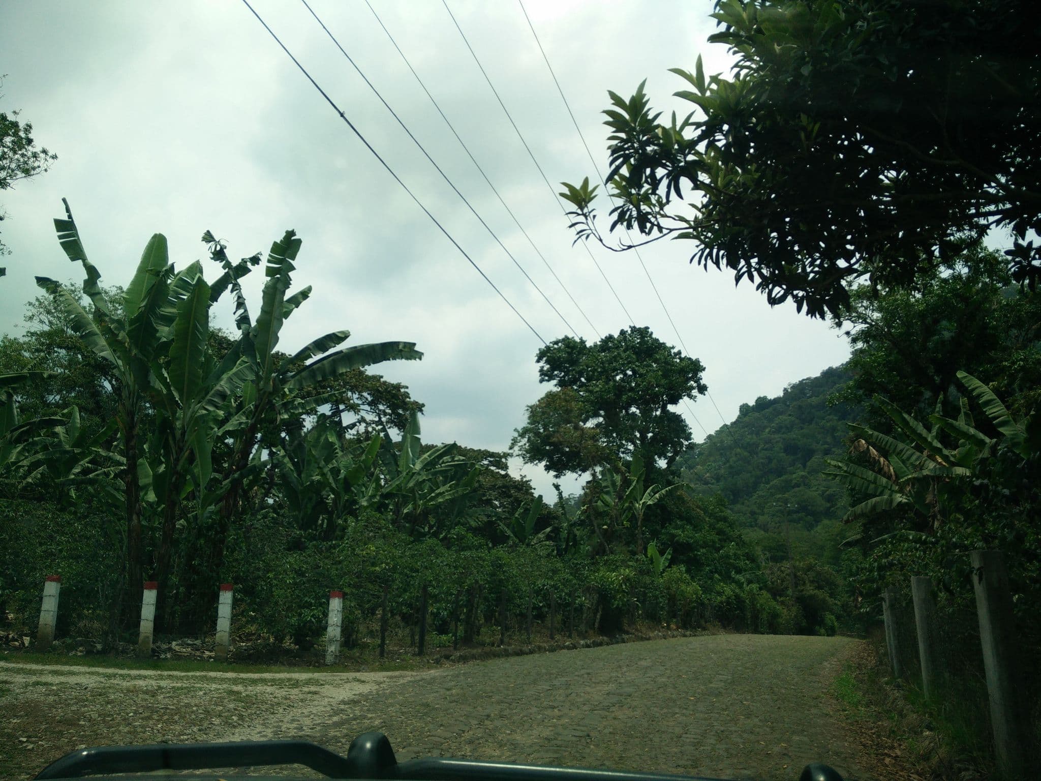 Street view near Posada la Querencia, Colonia Úrsulo Galván — © ccossio (CC BY-SA · Mapillary)