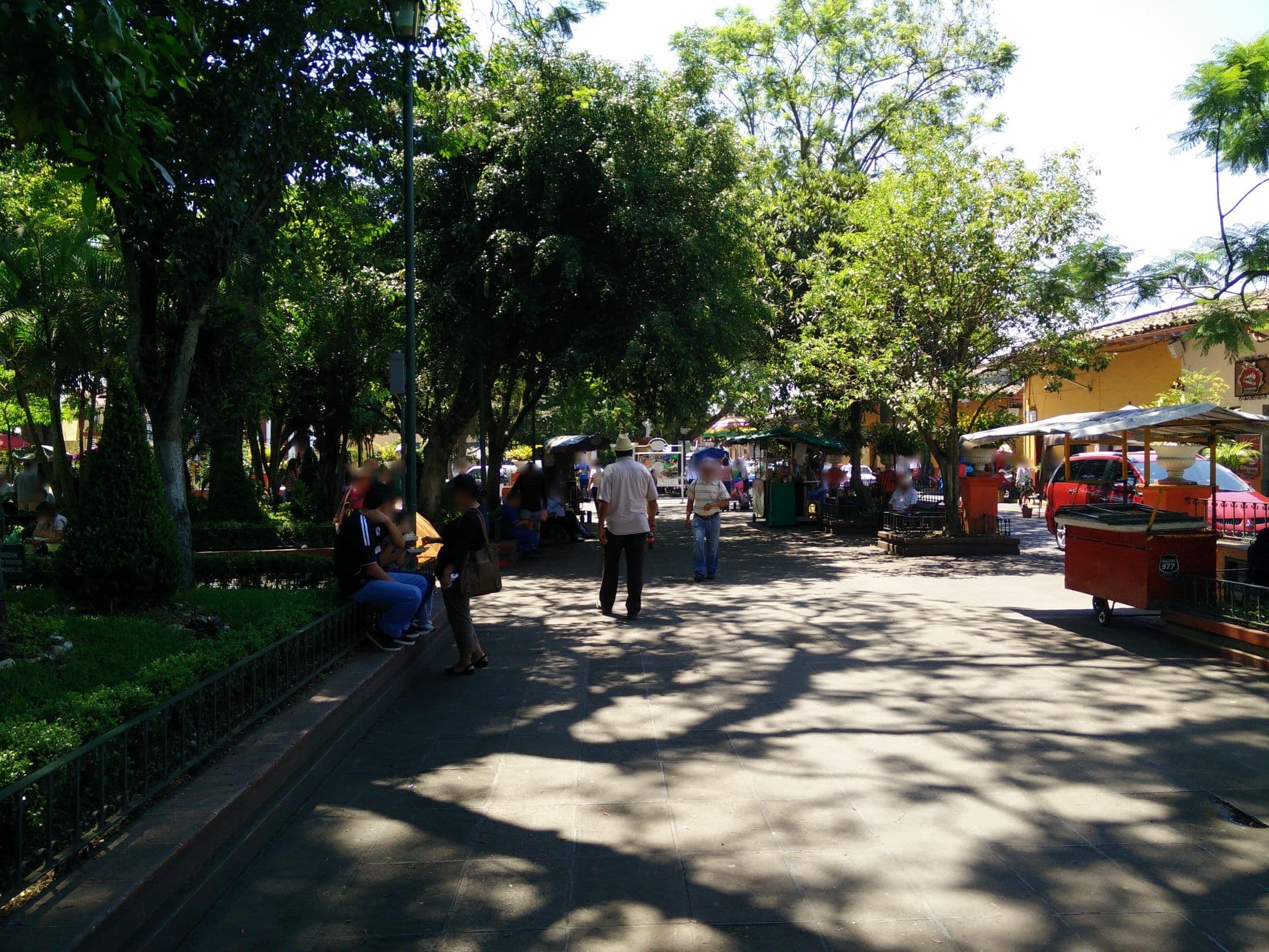 Street view near El Retoño Eco-Lodge, Coatepec — © ccossio (CC BY-SA · Mapillary)