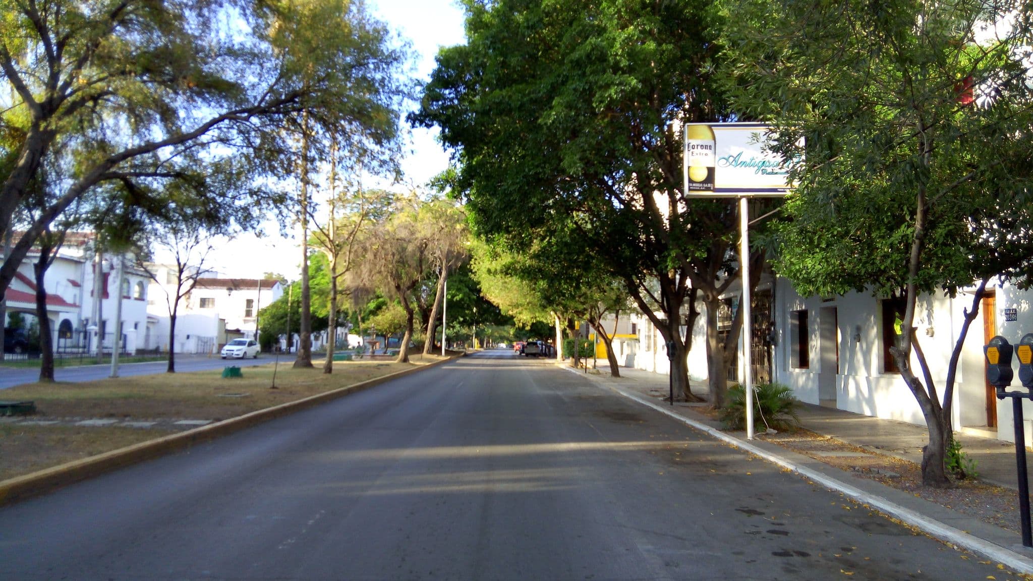 Street view near Hotel Gran Palacio, Ciudad Victoria — © fjavalosza (CC BY-SA · Mapillary)