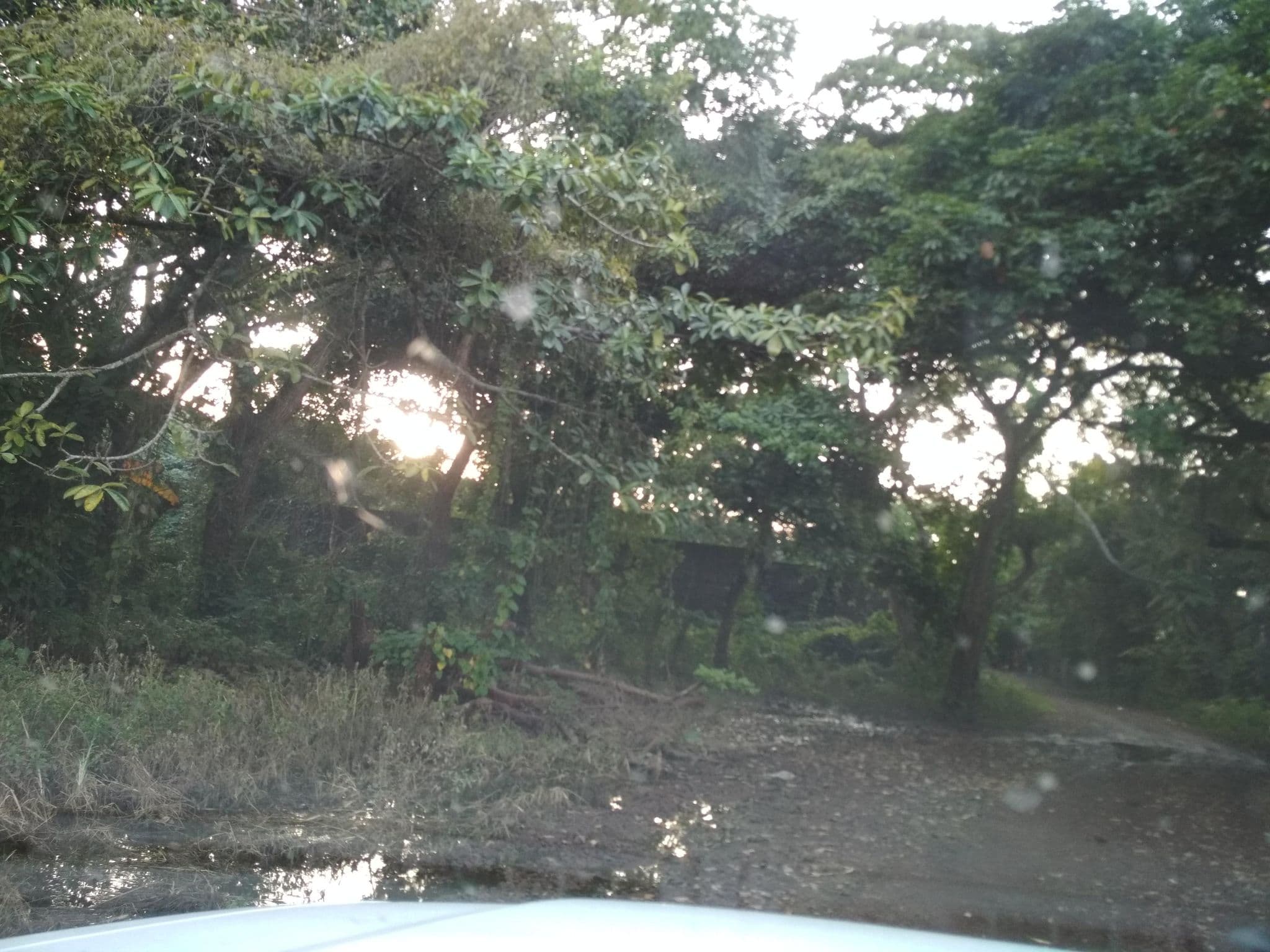 Street view near finca montoya, Catemaco — © viajes (CC BY-SA · Mapillary)