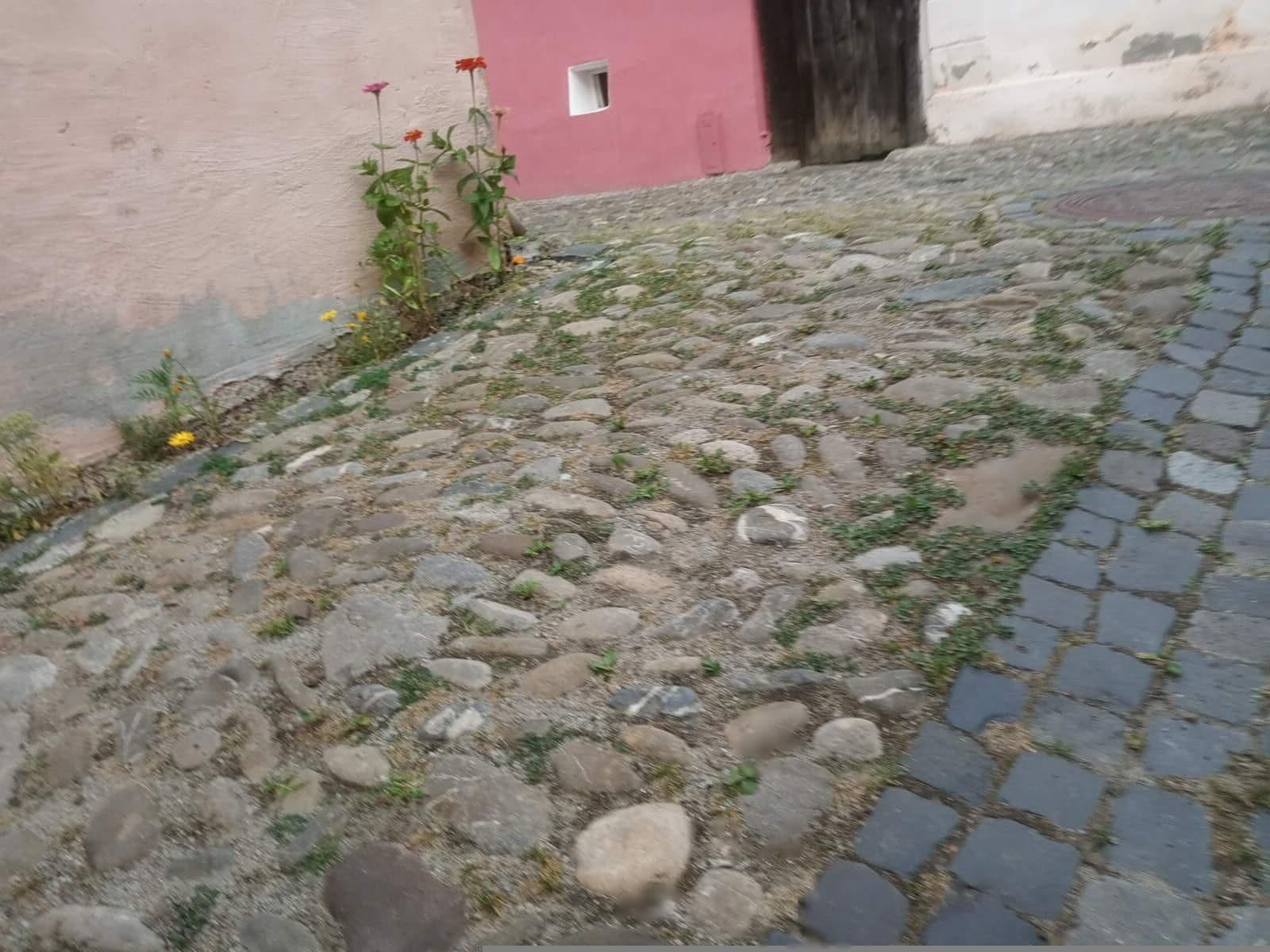 Street view near Casa Geogius Krauss, Sighișoara — © grozsa11 (CC BY-SA · Mapillary)