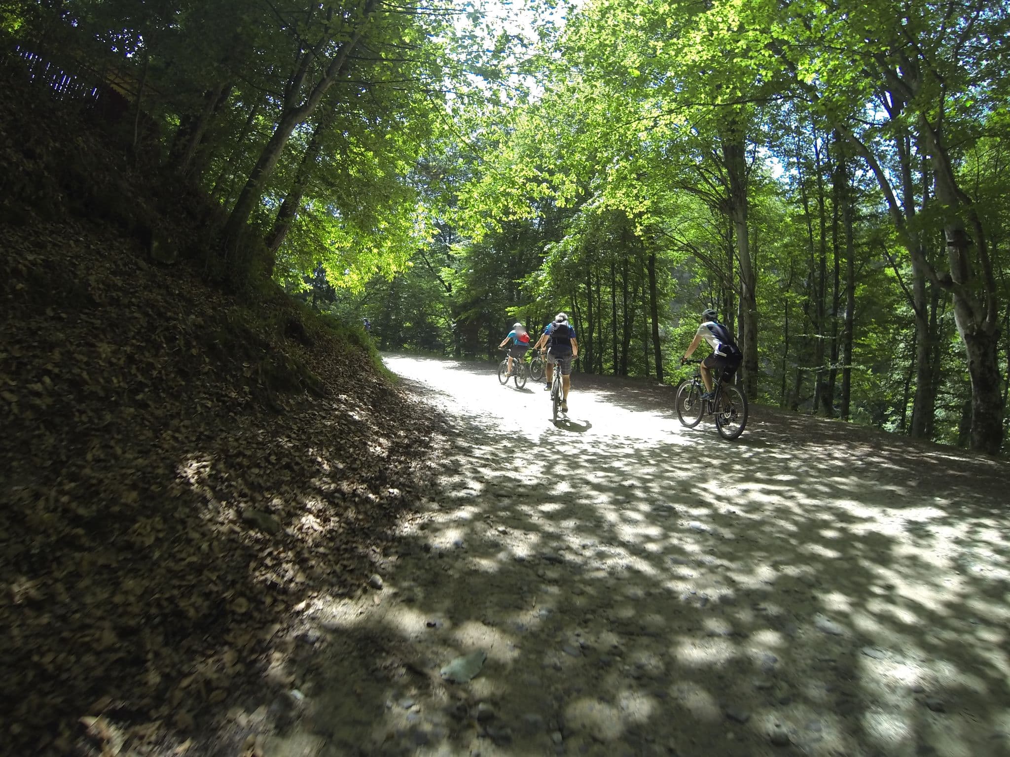 Street view near Cabana de vânătoare Romsilva, Livadia — © deeeznuuuts (CC BY-SA · Mapillary)