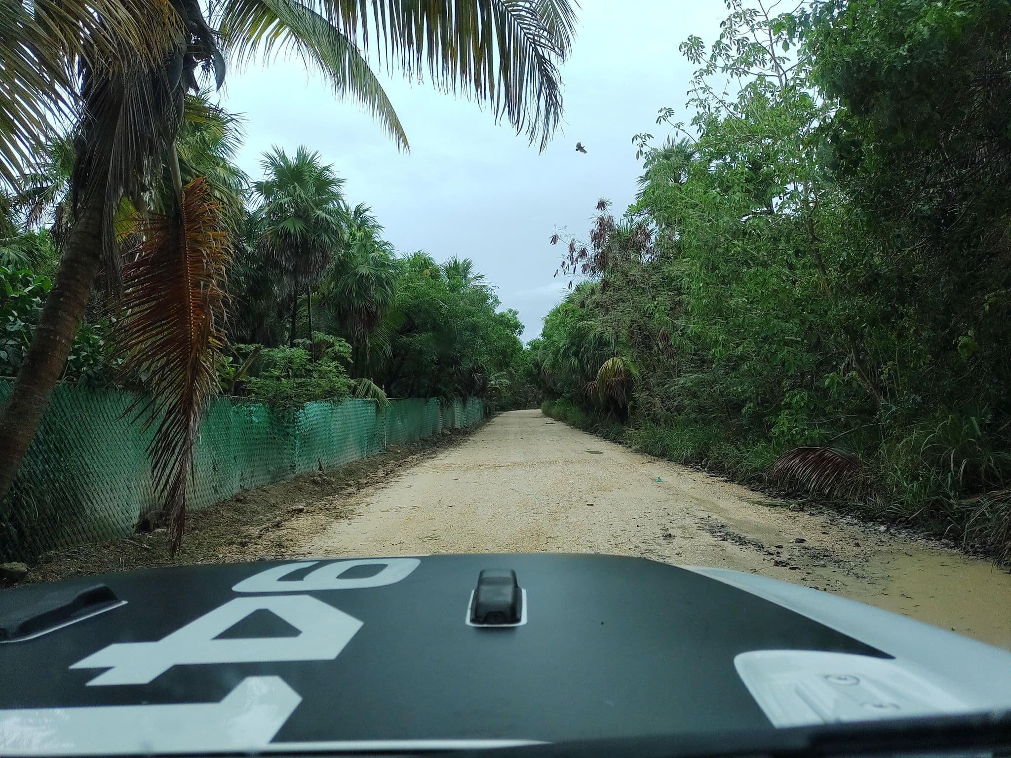Street view near Kismet, Tulum — © mapeadora (CC BY-SA · Mapillary)