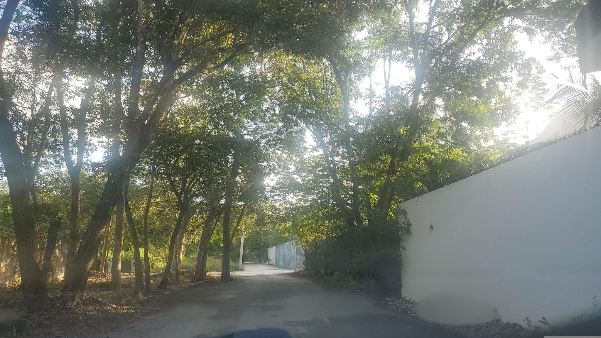 Street view near Coco Village, Tulum — © mapillaryuserid (CC BY-SA · Mapillary)