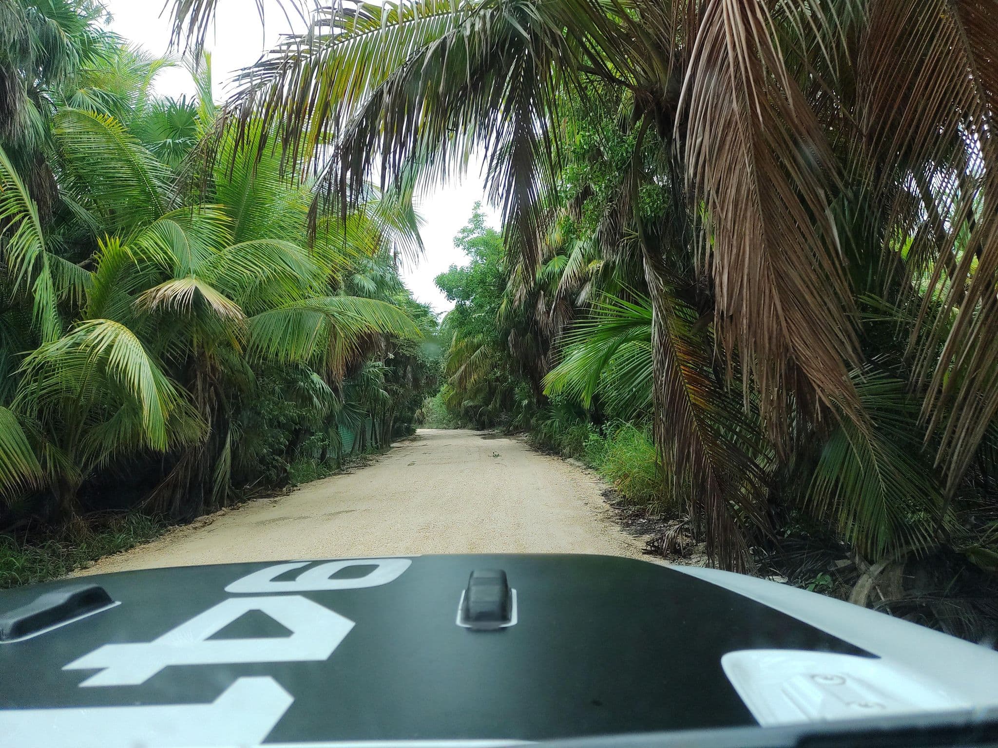 Street view near Yaxchen, Tulum — © mapeadora (CC BY-SA · Mapillary)