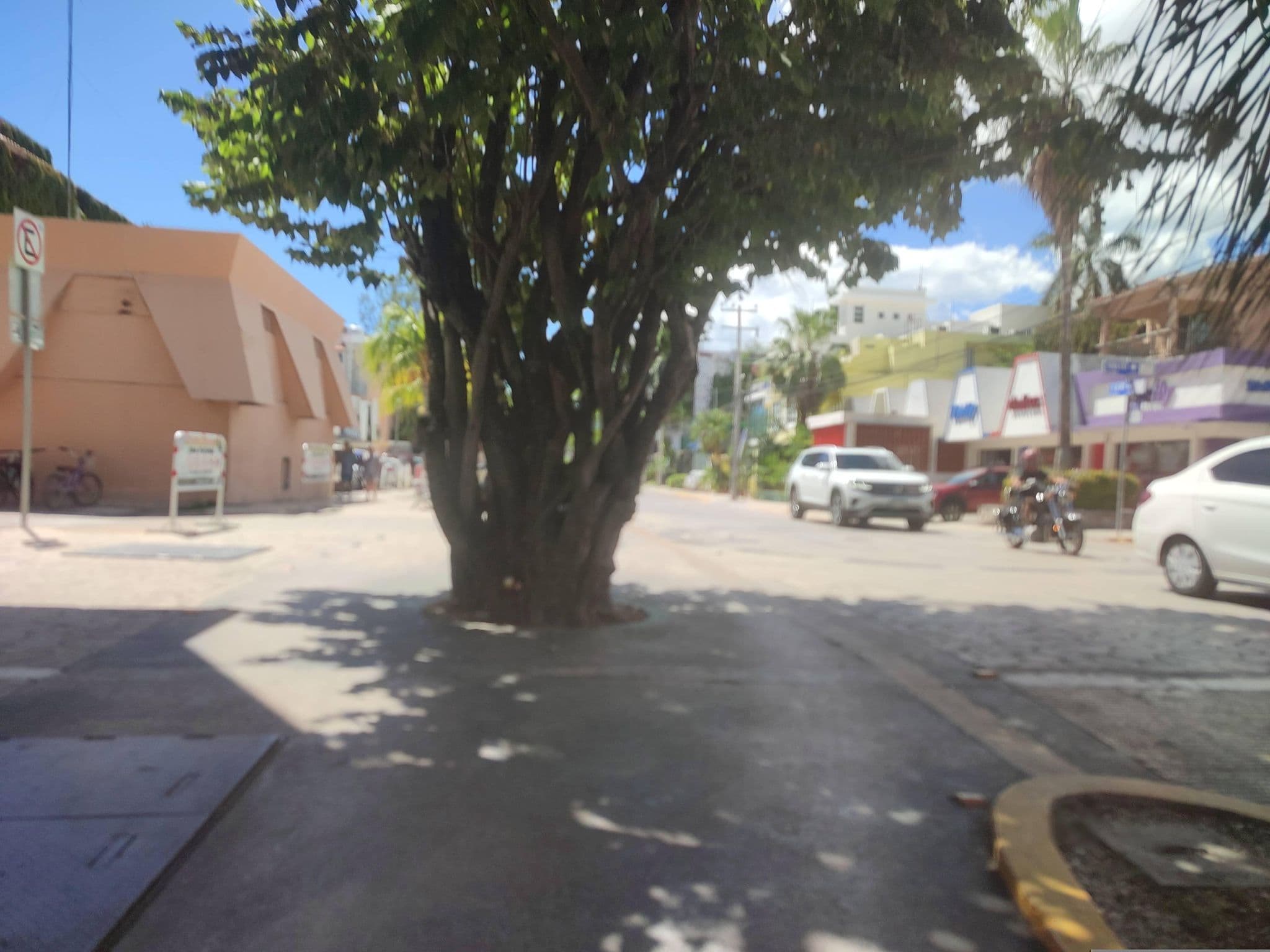 Street view near Bouganvillas B&B, Playa del Carmen — © erickmendiola13 (CC BY-SA · Mapillary)