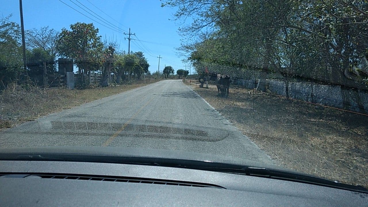 Street view near Cenote El Toro, Panabá — © fando (CC BY-SA · Mapillary)