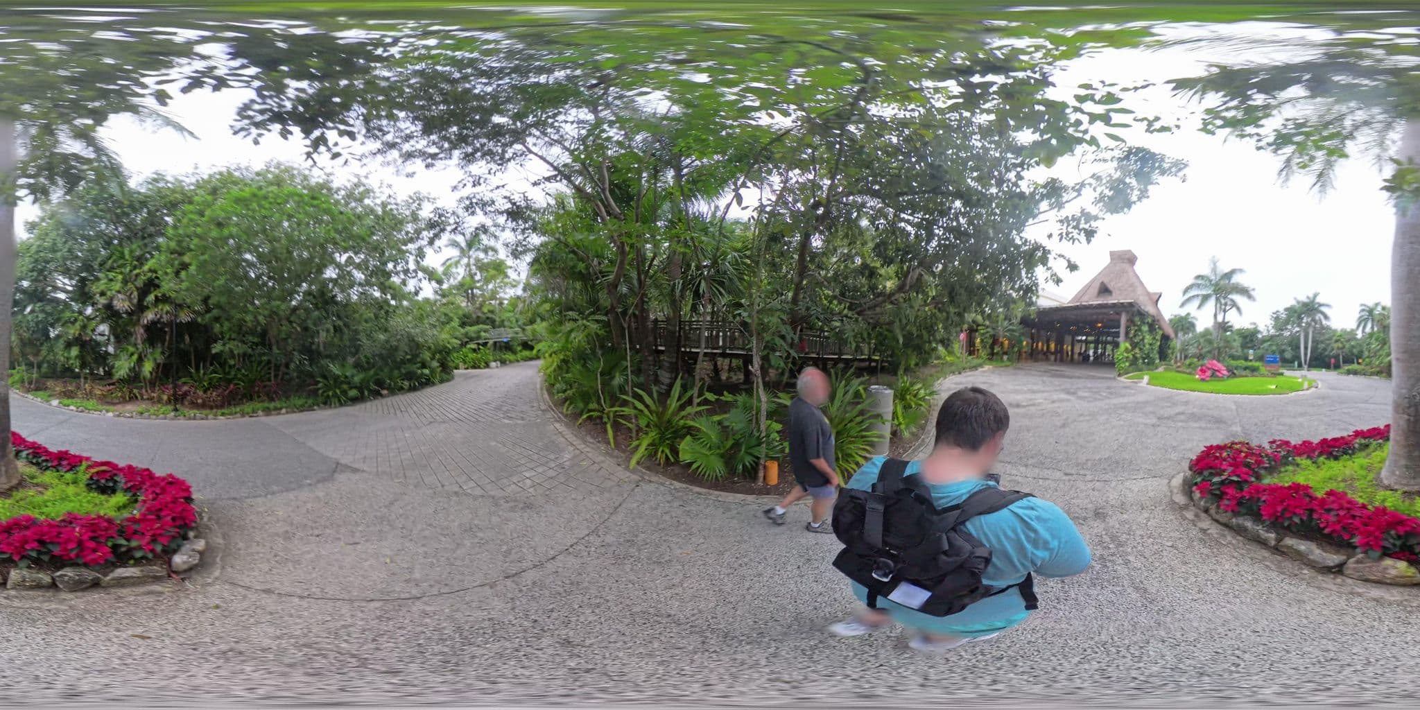 Street view near Lobby Mayan Palace, Playa del Carmen — © evankelemen (CC BY-SA · Mapillary)