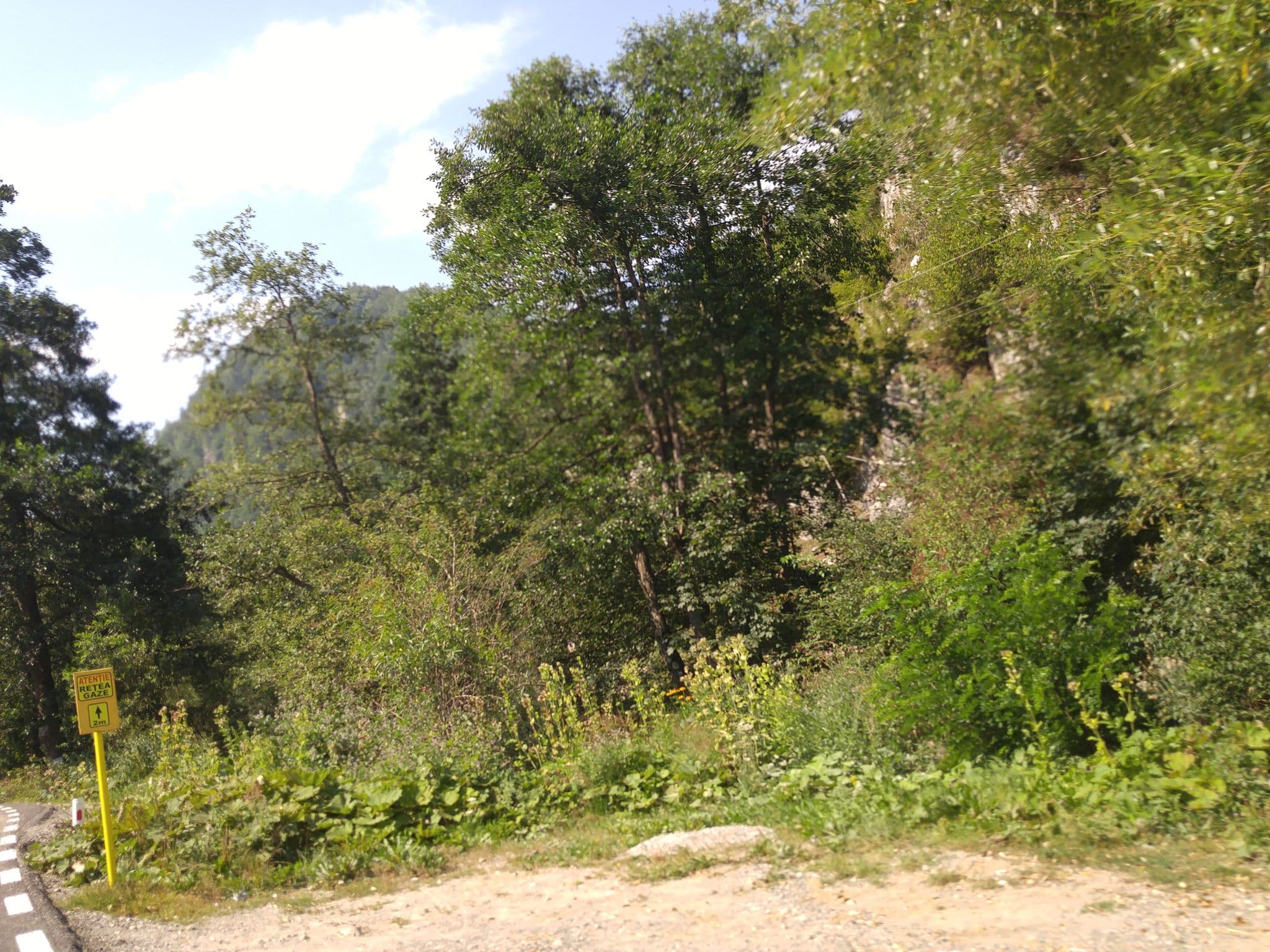 Street view near Casa Ioana, Moeciu de Jos