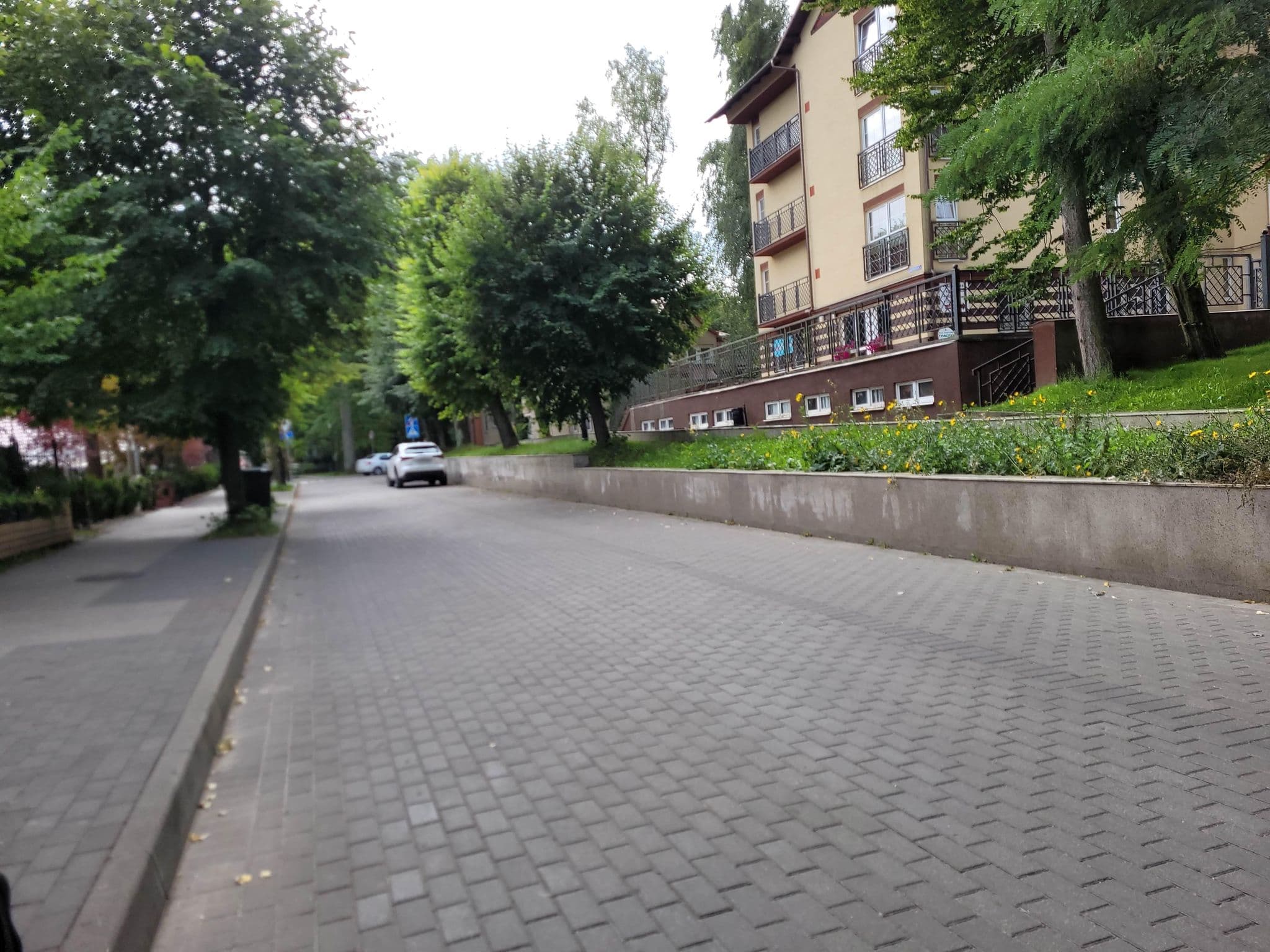Street view near вилла алита, Svetlogorsk — © trolleway (CC BY-SA · Mapillary)