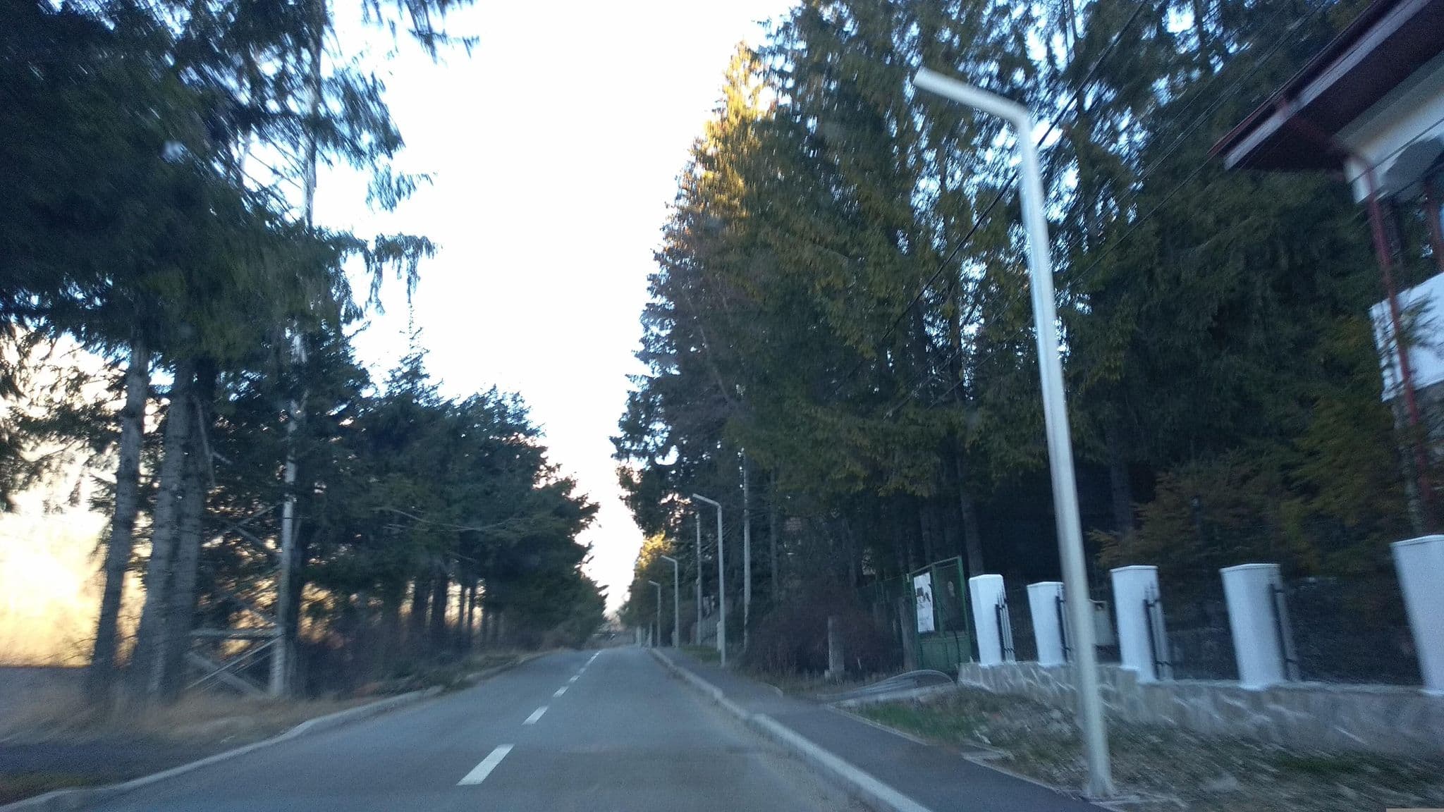 Street view near Casa Olguța, Sinaia — © tavi (CC BY-SA · Mapillary)