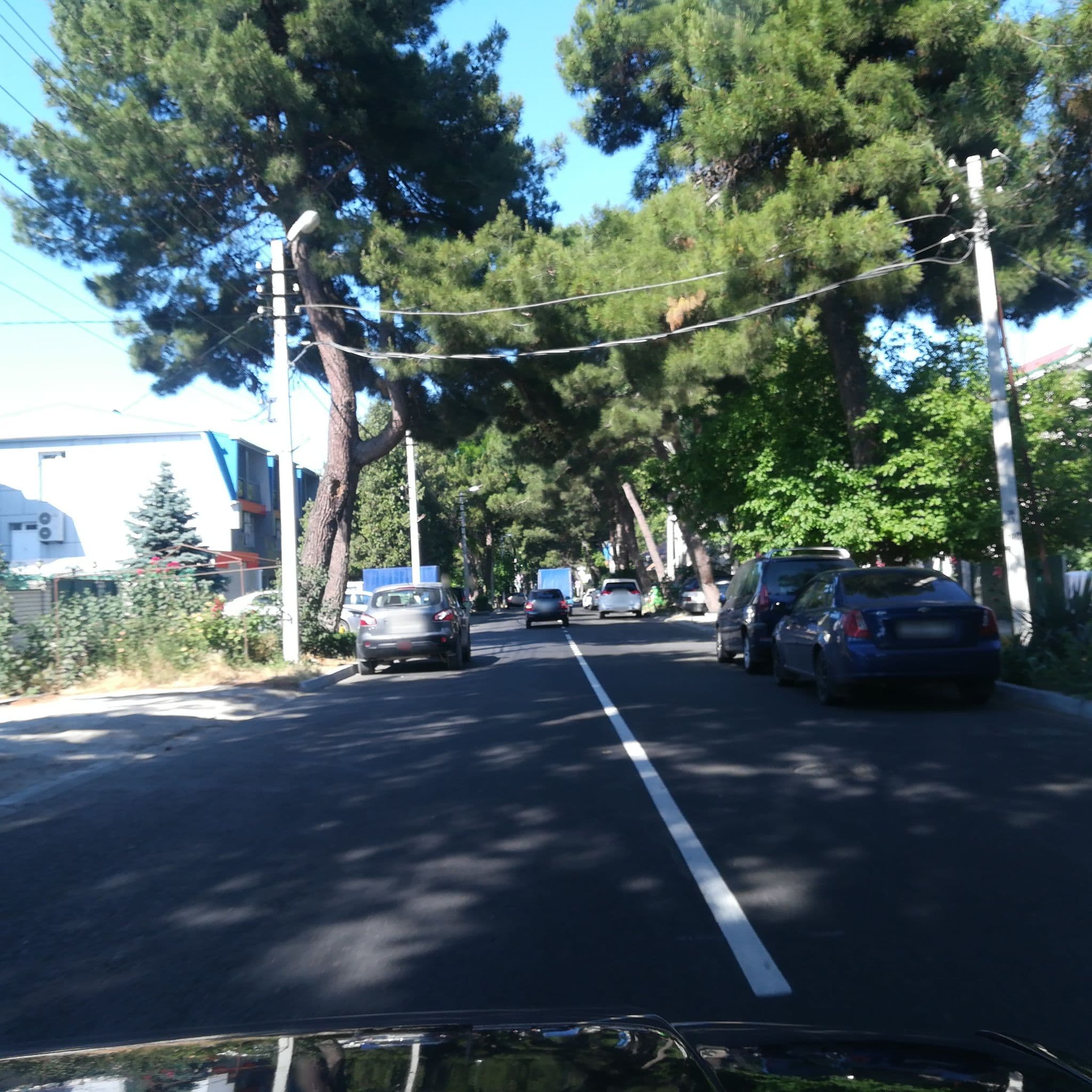 Street view near МИР ГОСТЕВОЙ ДОМ, Anapa — © juliashchelukhova (CC BY-SA · Mapillary)