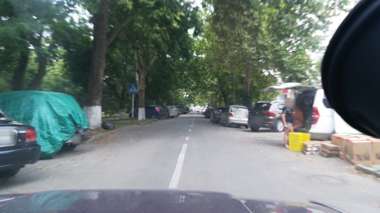 Street view near Райское Гнездышко, Anapa — © juliashelukhova (CC BY-SA · Mapillary)