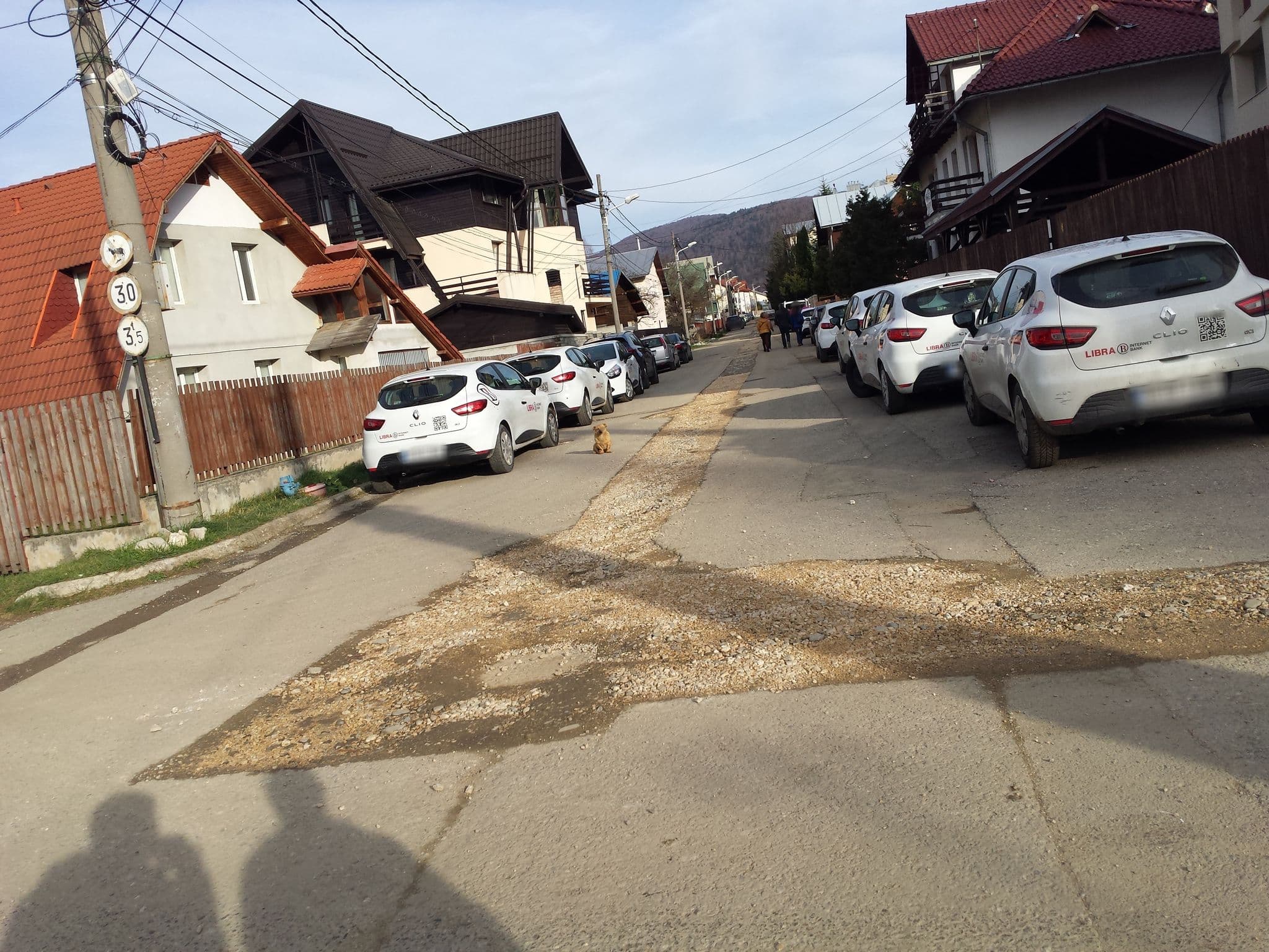 Street view near Casa Llana, Buşteni