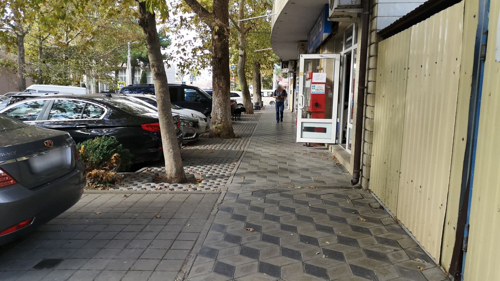 Street view near дежавю#313, Anapa — © gerechtigkeit (CC BY-SA · Mapillary)