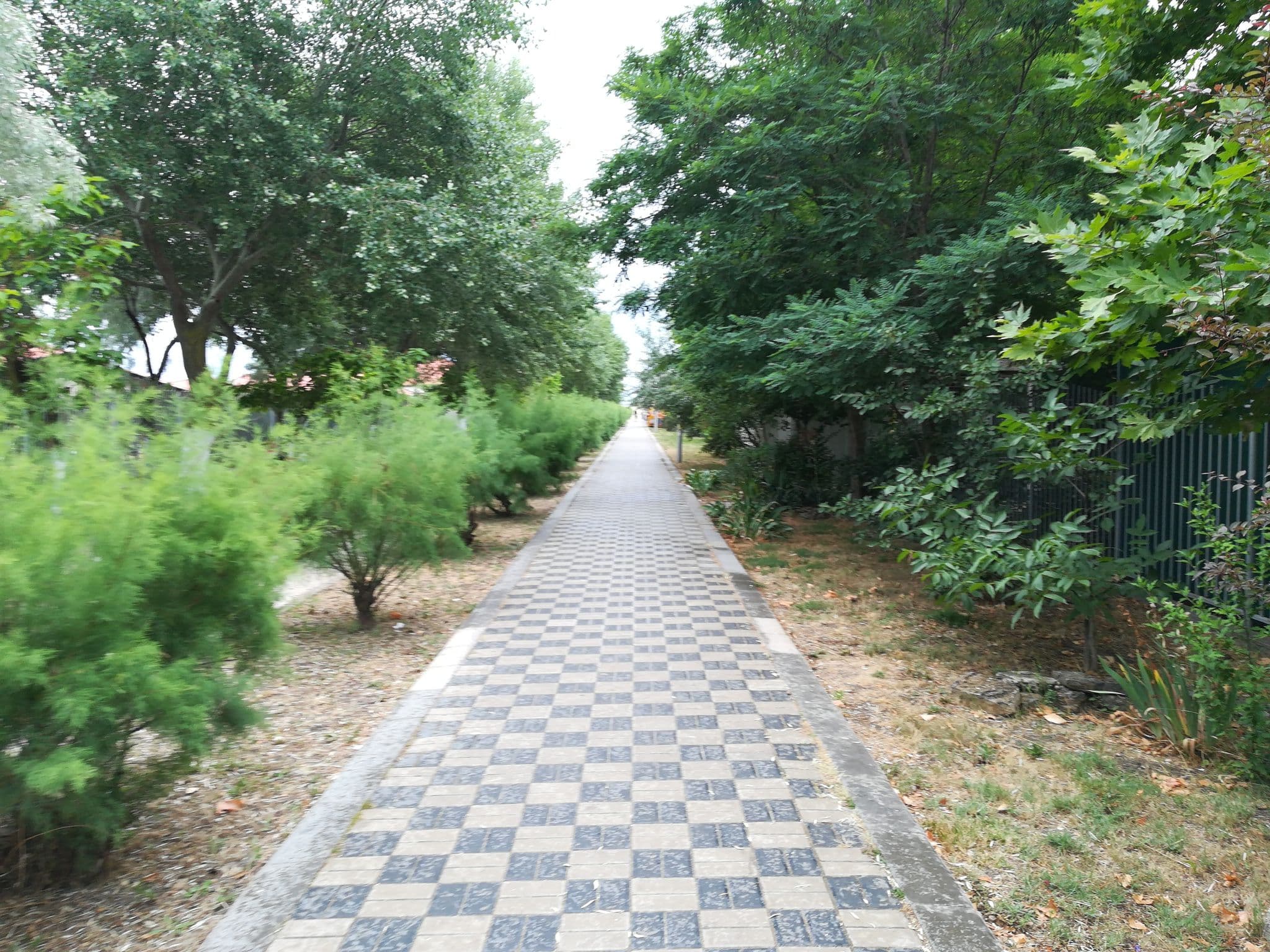 Street view near Б/о Слава, Vityazevo — © api (CC BY-SA · Mapillary)