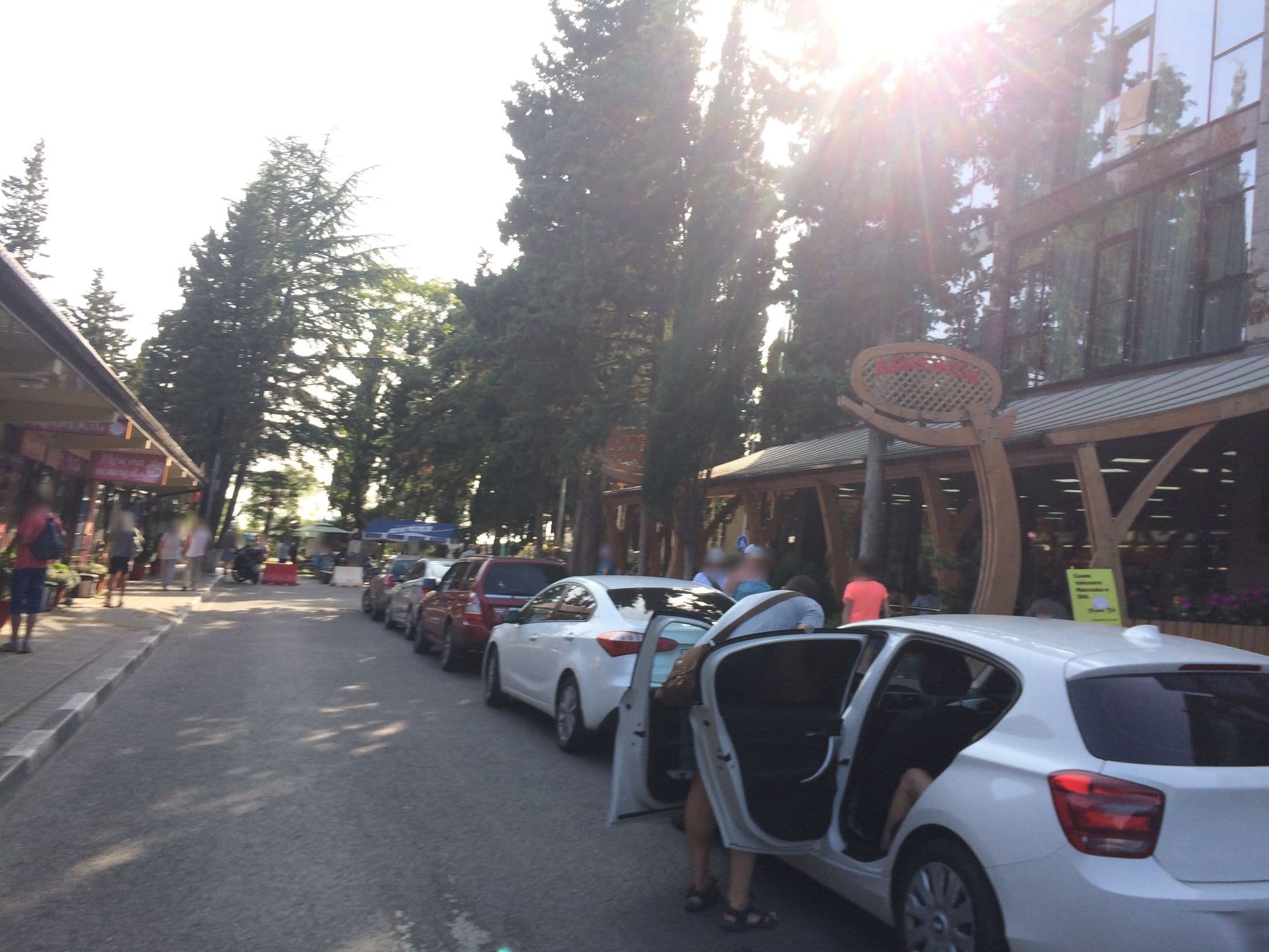 Street view near Alana Royal Hotel, Sirius — © dmitriynikitin (CC BY-SA · Mapillary)
