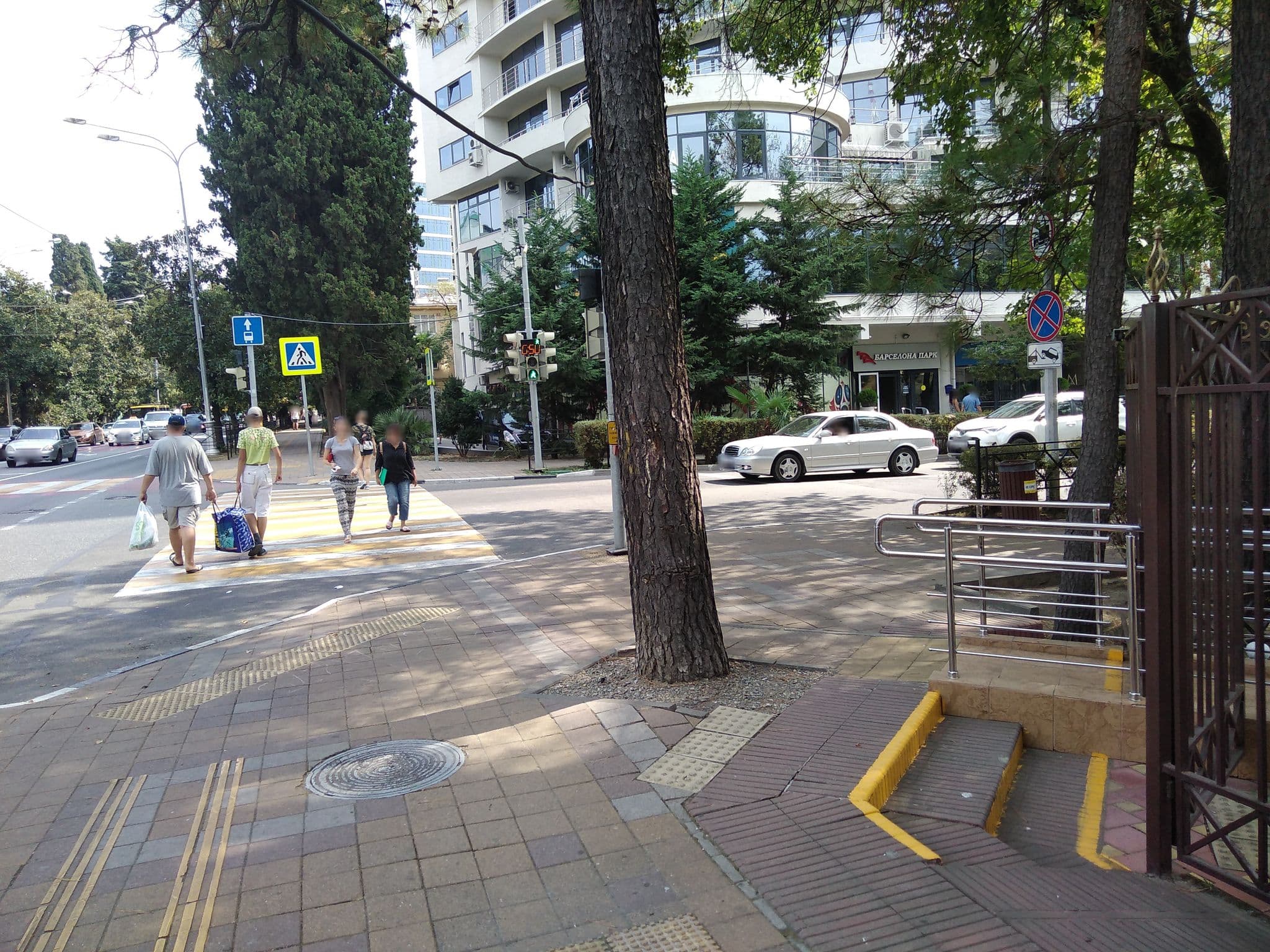Street view near Магнолия, Sochi — © sergeyshuber (CC BY-SA · Mapillary)