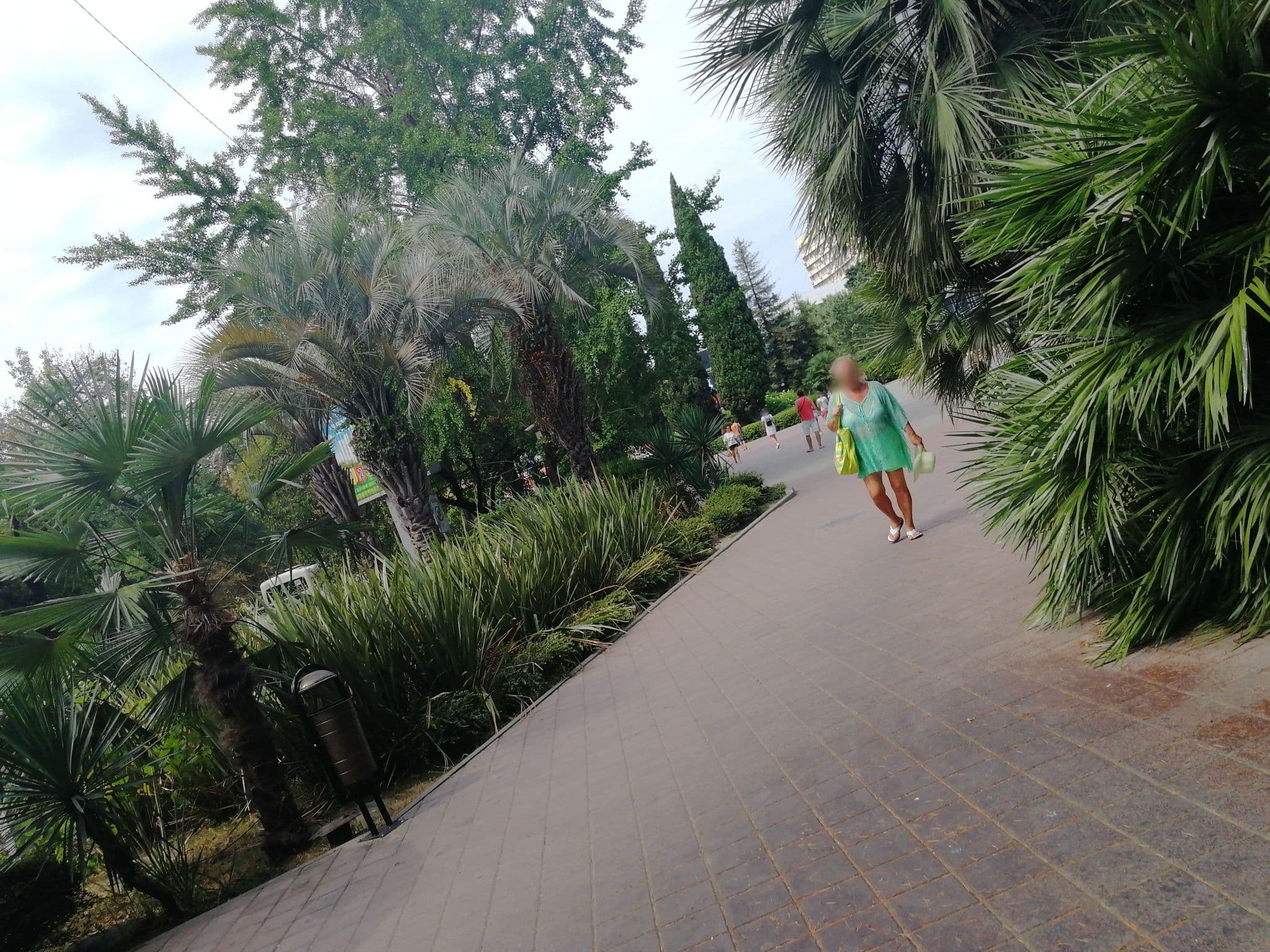 Street view near Сочифорния, Sochi — © nekhorosheva (CC BY-SA · Mapillary)