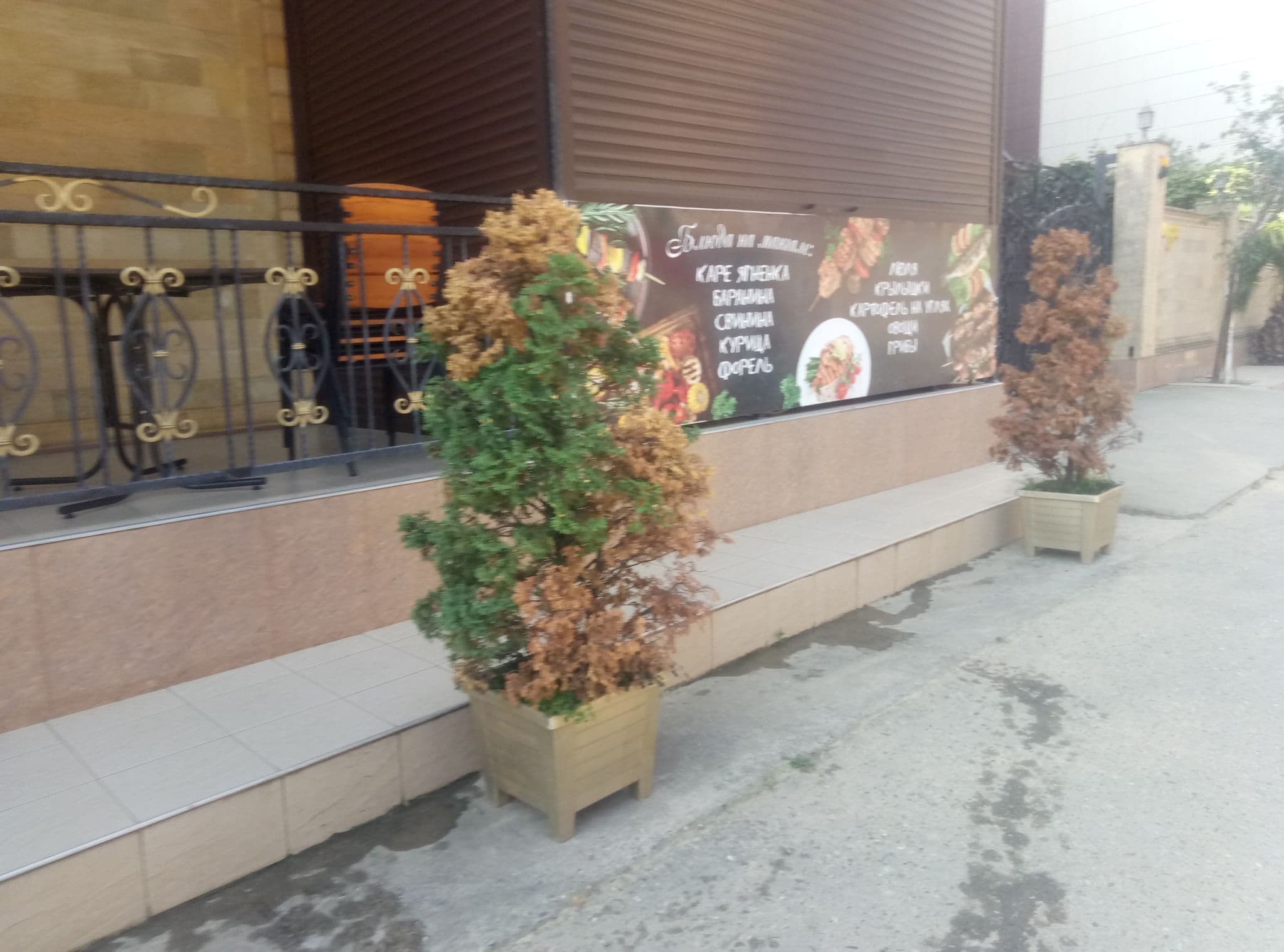 Street view near Отель Optima, Kudepsta — © aksenova (CC BY-SA · Mapillary)