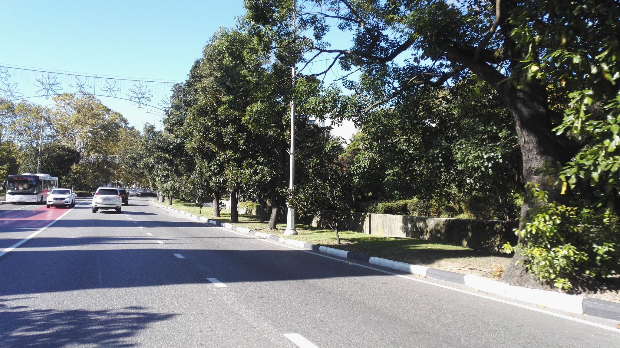 Street view near Горка, Sochi — © petunder (CC BY-SA · Mapillary)