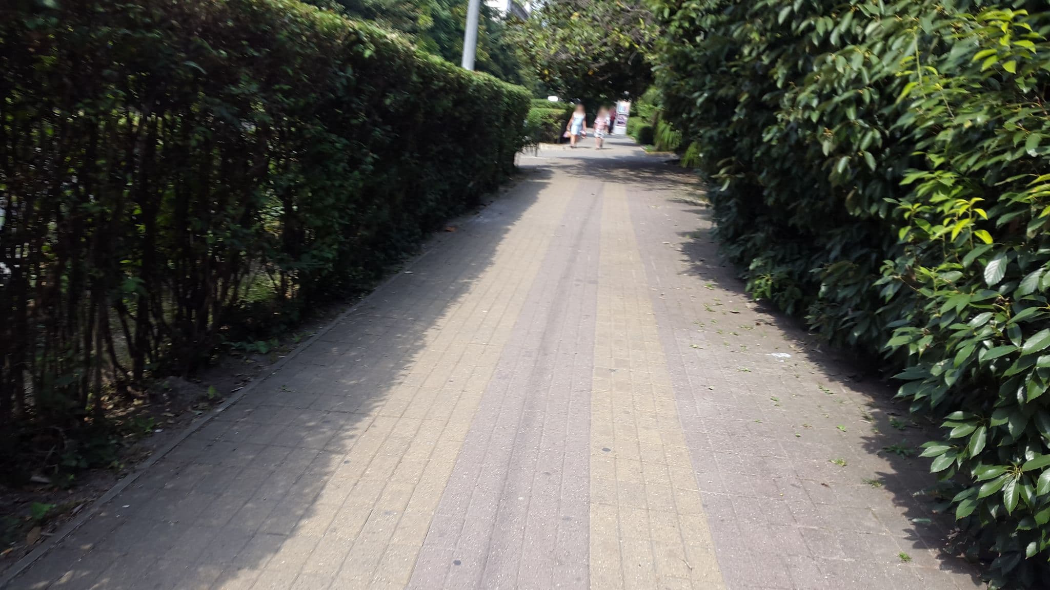 Street view near Lapin Vespa, Sochi — © akram2454 (CC BY-SA · Mapillary)