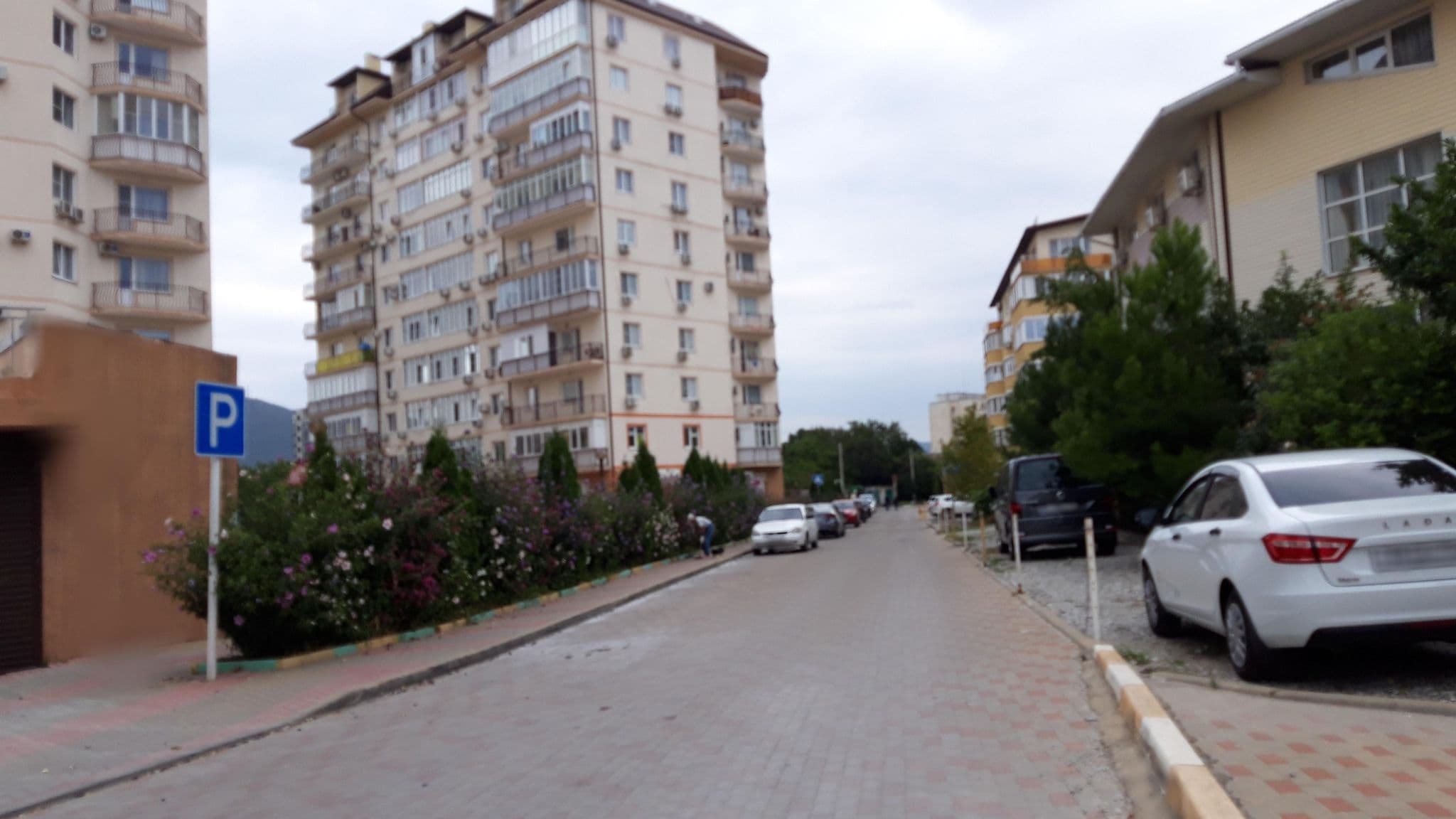 Street view near Магнолия, Gelendzhik — © wowik (CC BY-SA · Mapillary)