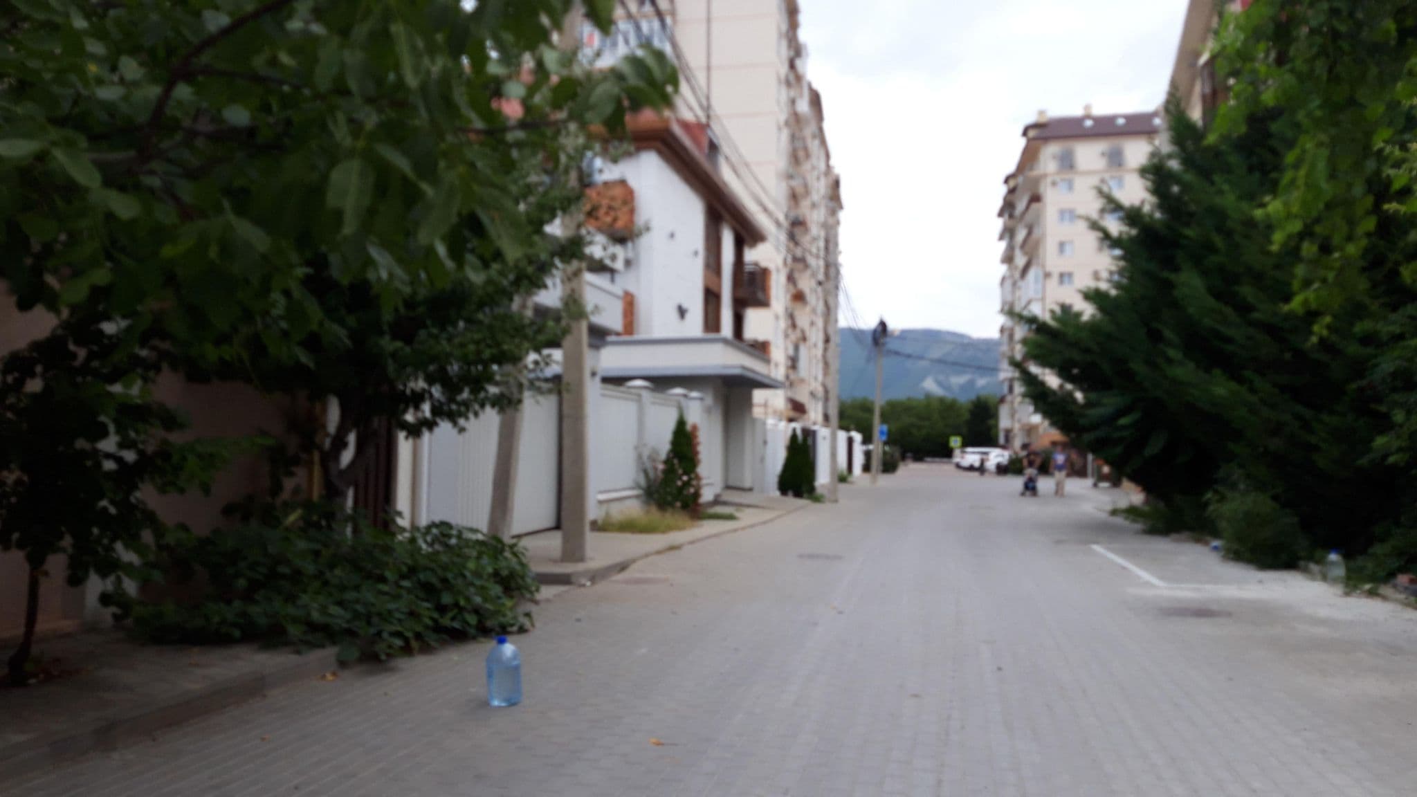 Street view near Сальвадор, Gelendzhik — © wowik (CC BY-SA · Mapillary)
