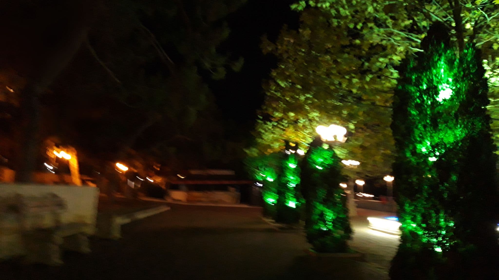 Street view near Южная Звезда, Gelendzhik — © wowik (CC BY-SA · Mapillary)