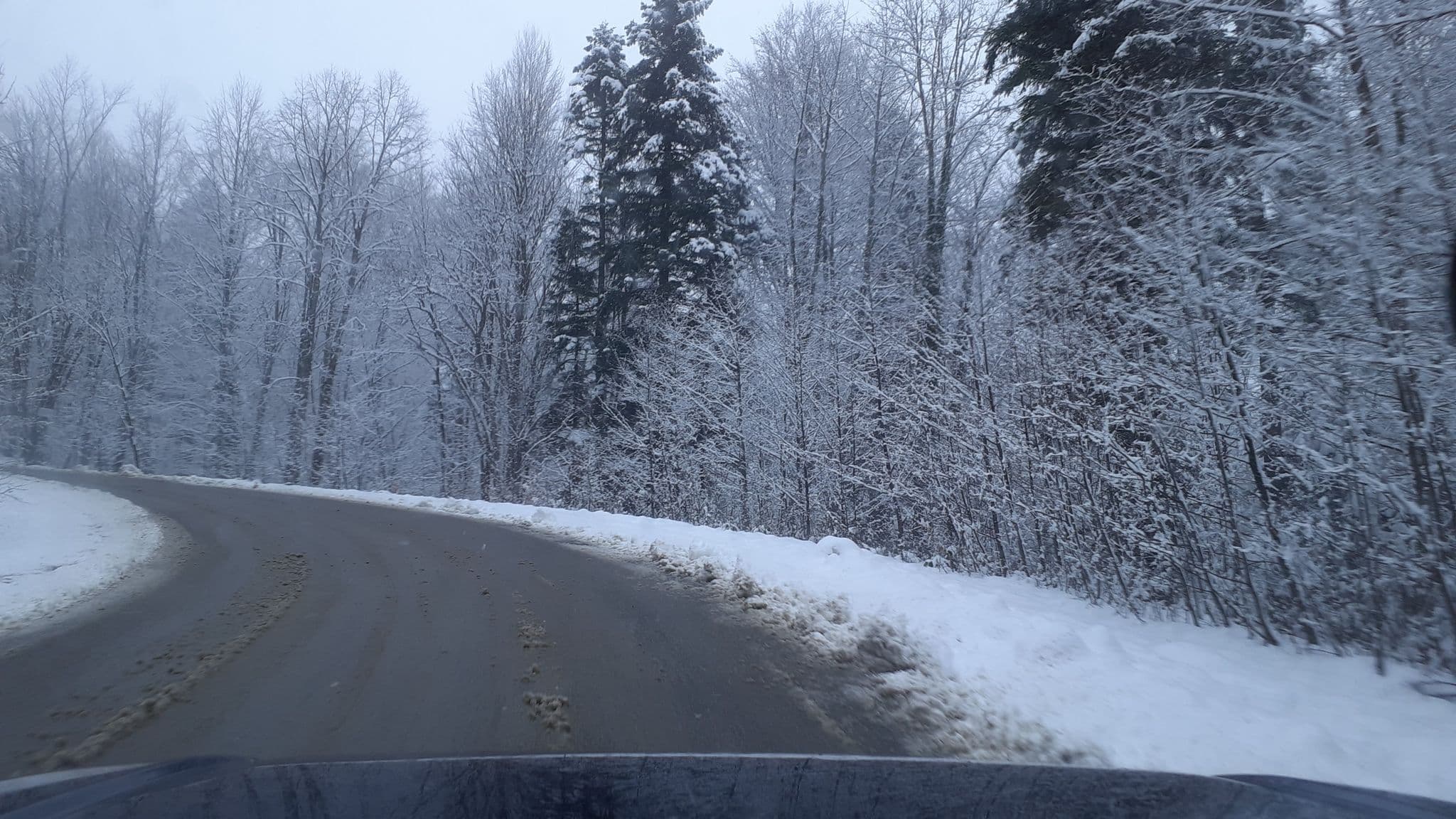 Street view near Горнолыжная база "Партизанская поляна", Kamennomostskiy — © azimuth (CC BY-SA · Mapillary)