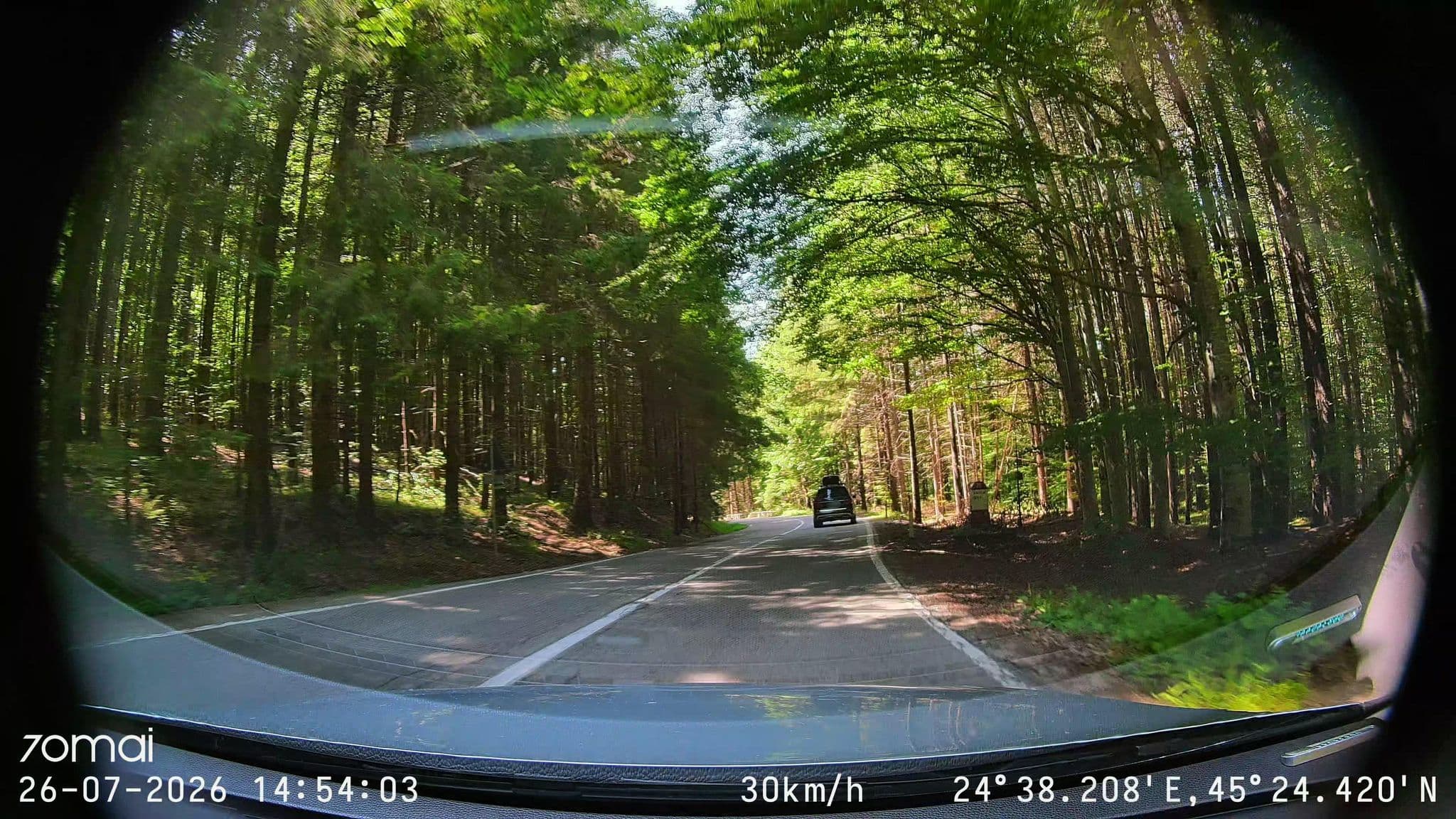Street view near Transfagarasan Treehouse Village, Arefu — © doriel (CC BY-SA · Mapillary)
