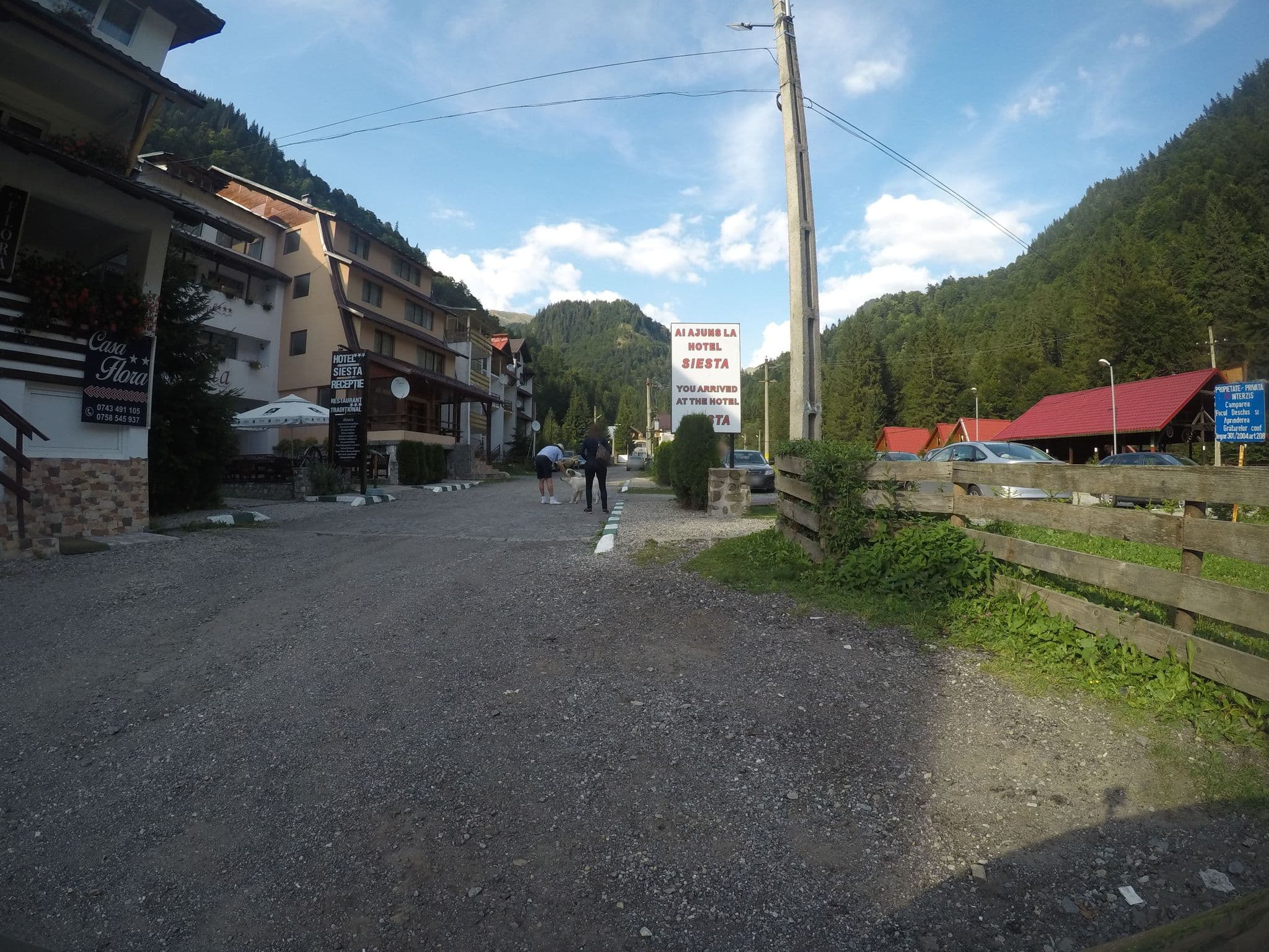 Street view near Casa Flora, Cârţişoara — © chrisbeddow (CC BY-SA · Mapillary)