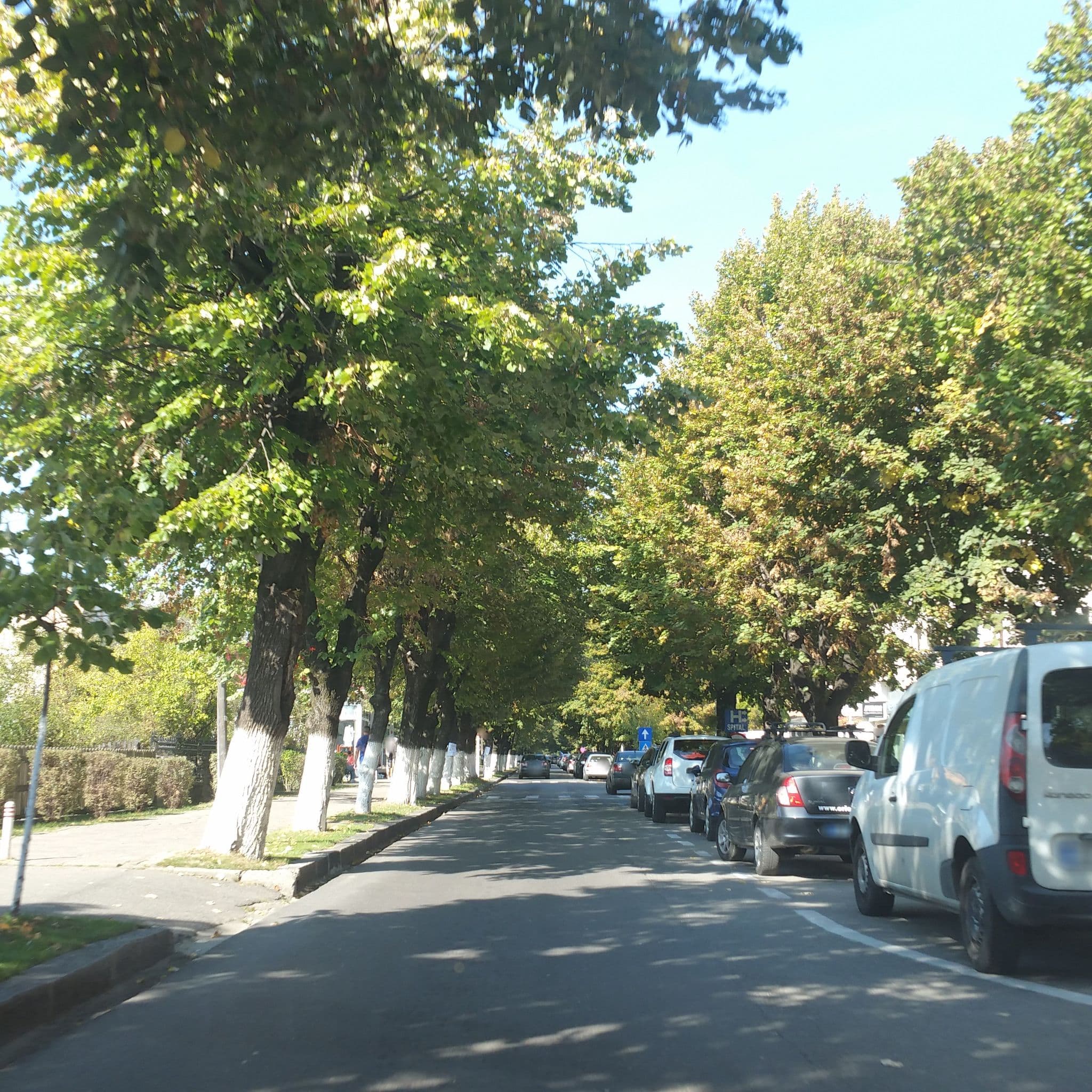 Street view near Montana, Curtea de Argeş — © andreistar (CC BY-SA · Mapillary)
